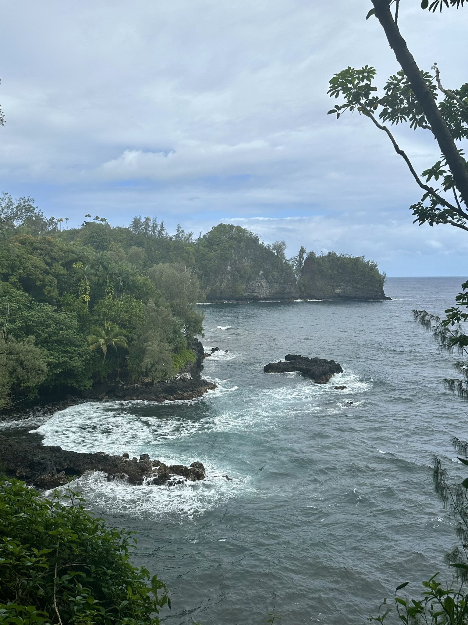 Overcast view of a rugged, lush green coastline with ocean waves. - Hilo to Kolekole Beach Park & ʻAkaka Falls State Park