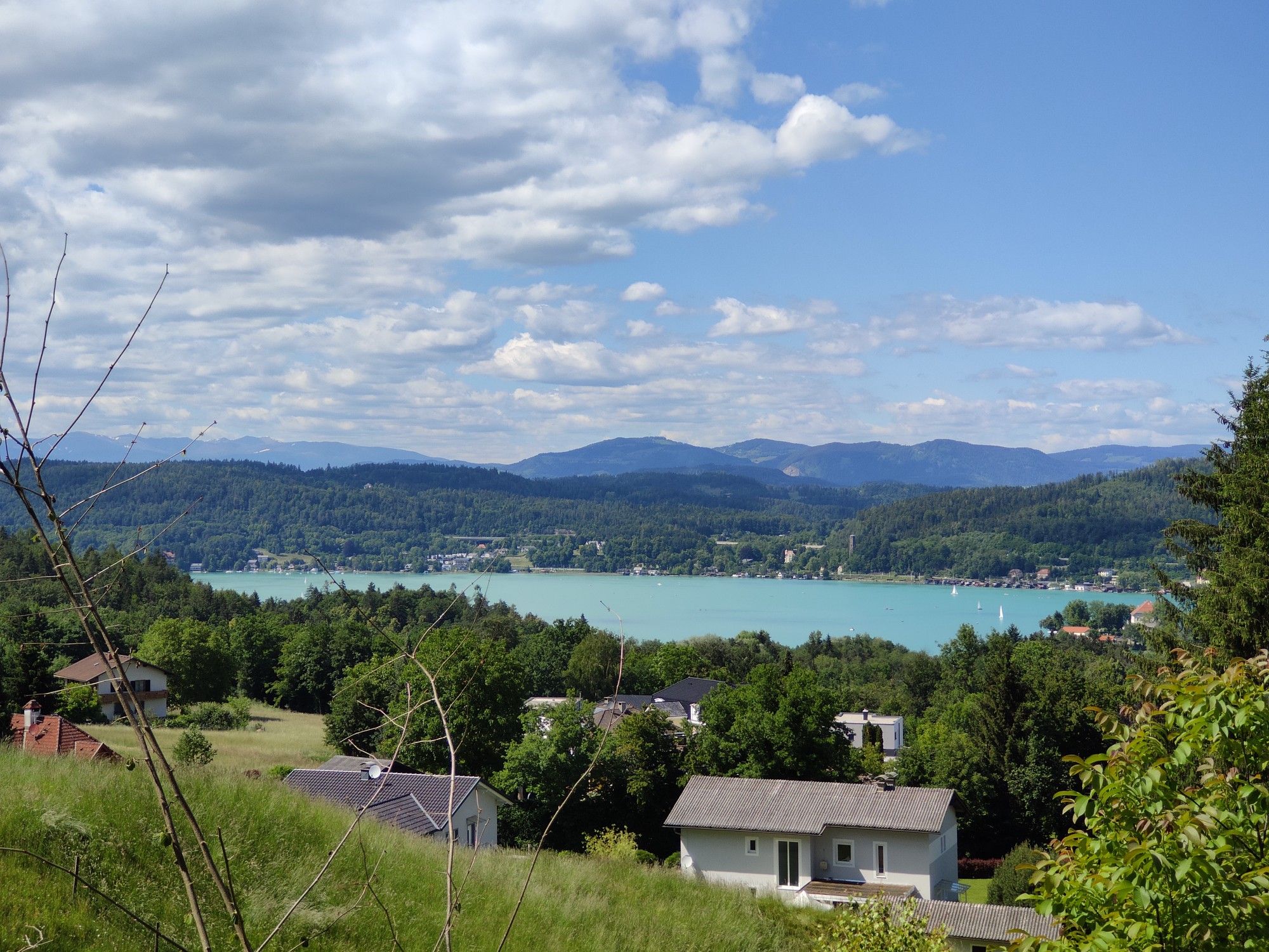 Wörtherseeblick von Maiernig