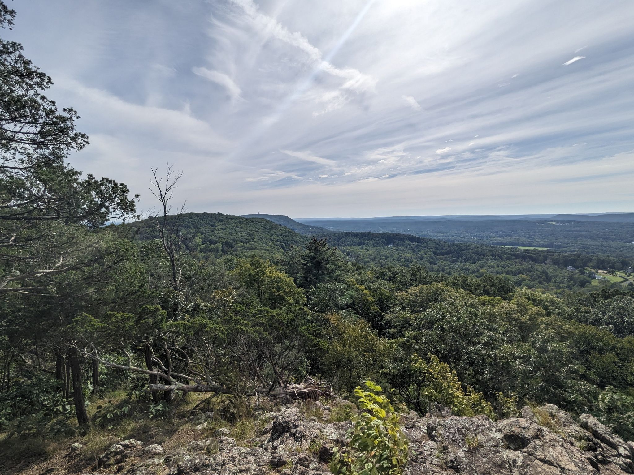 Panoramic view of green forested hills under a bright, cloudy sky. - Metacomet and Yellow Trail Loop