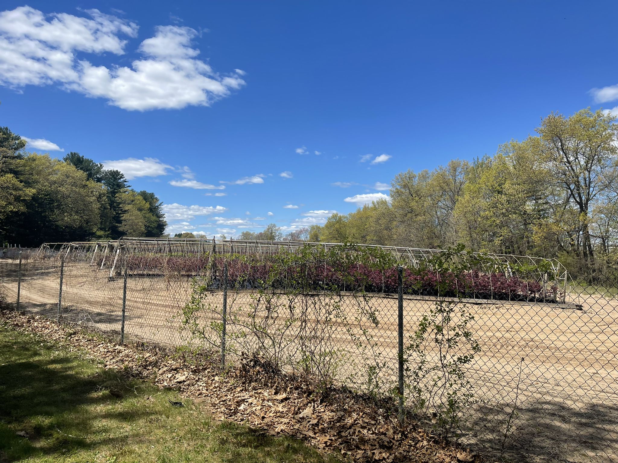 Fenced field with rows of plants and structures under a cloudy blue sky. - Trailside Gnome – East Coast Greenway loop from Granby