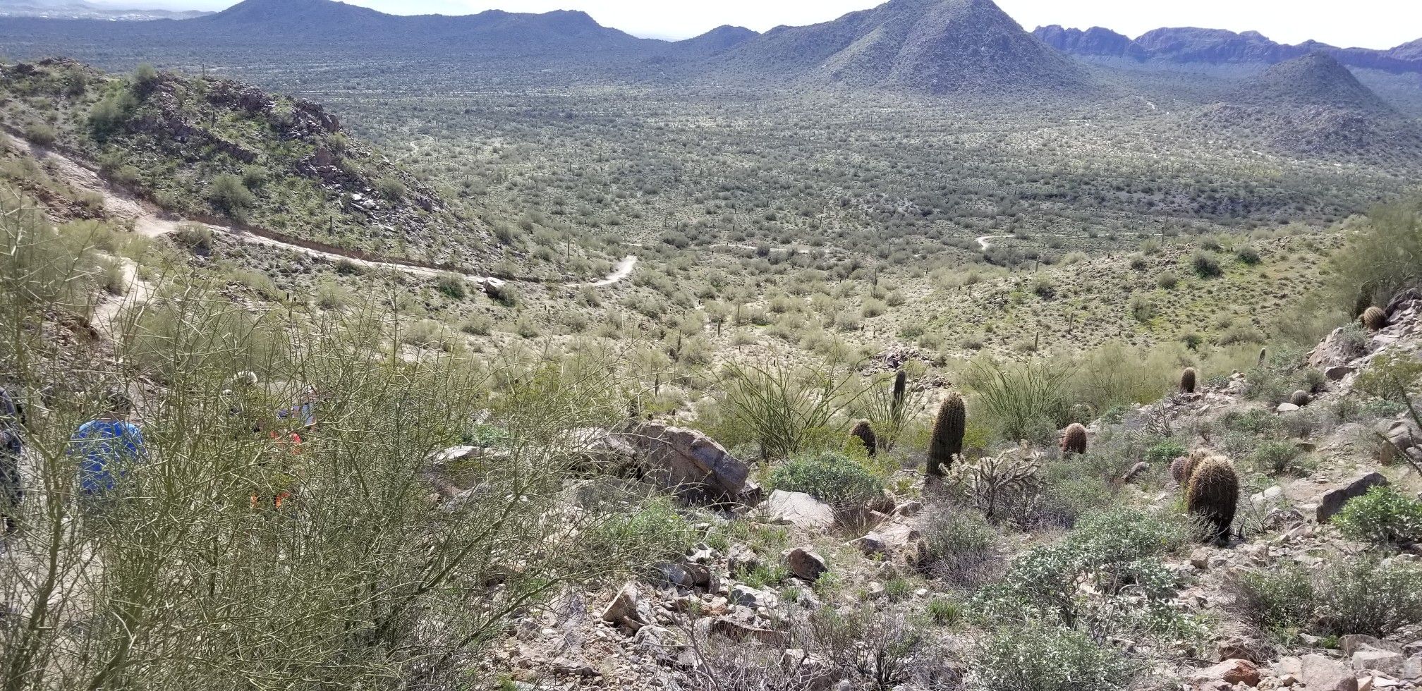 Vast desert landscape with mountains, sparse vegetation, a winding path, and a person. - Dynamite and Goldmine Trail Loop