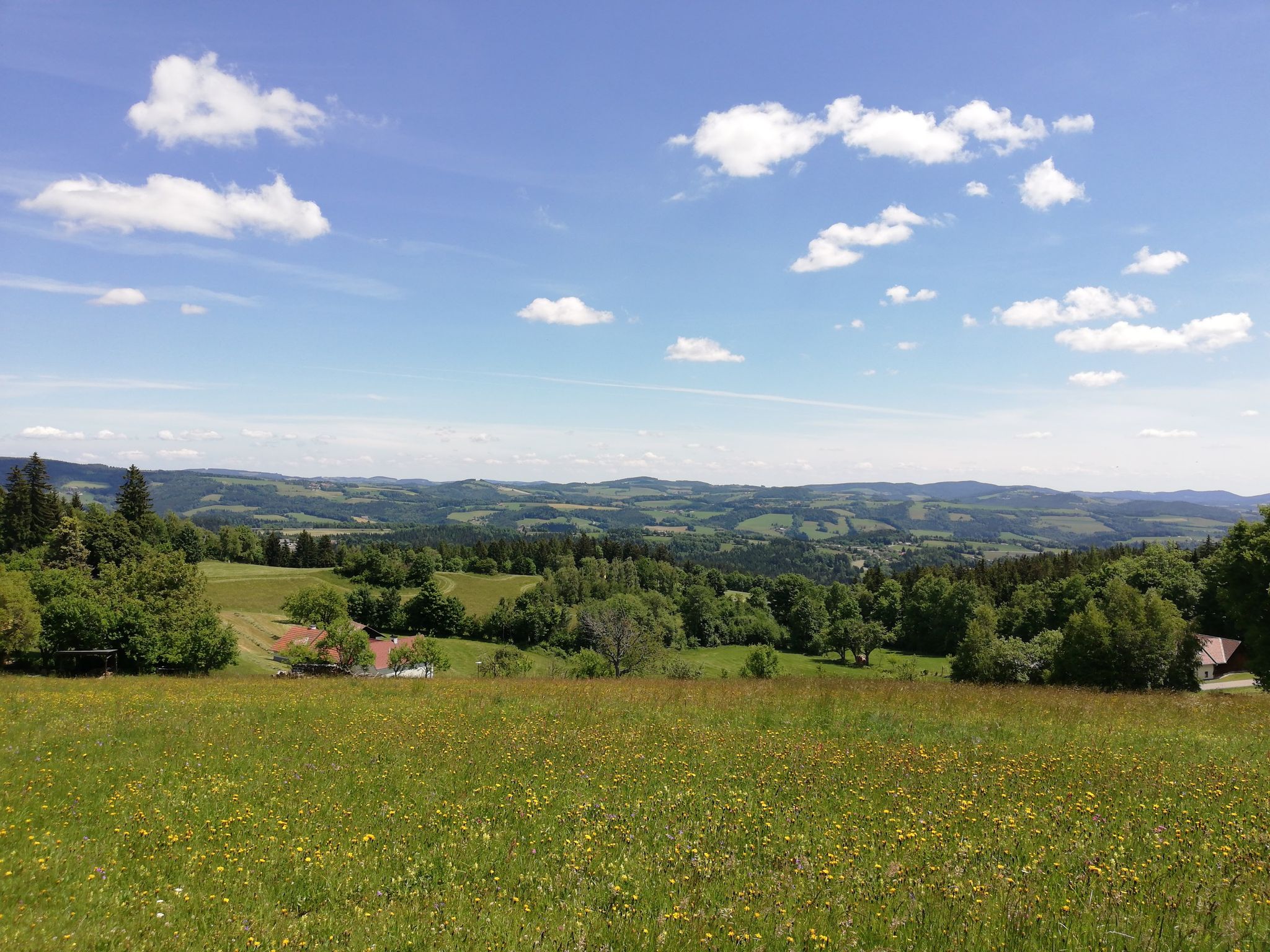 Schwaighof