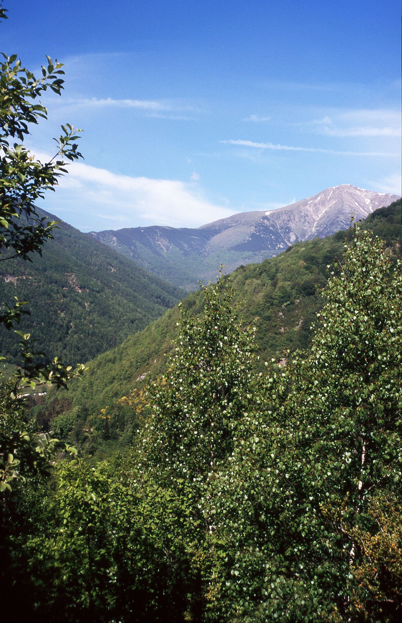 Pic de Costabonne (2464 m) von der Auffahrt aus dem Tech-Tal