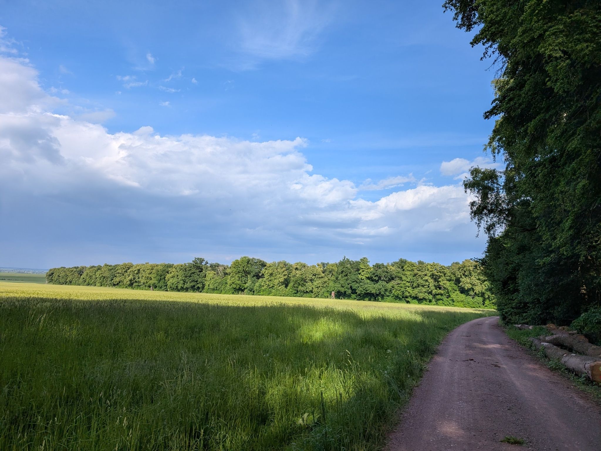 wieder etwas mehr Sonne