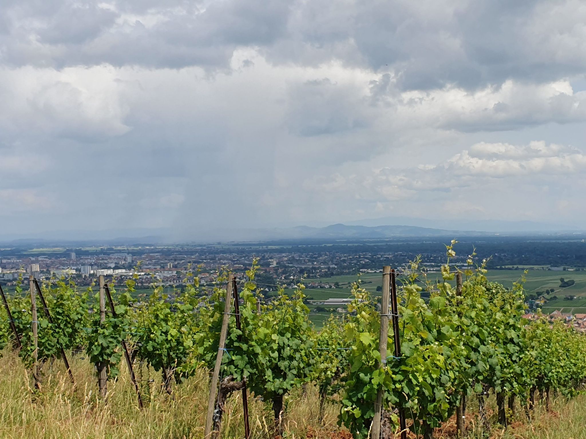 Kaiserstuhl