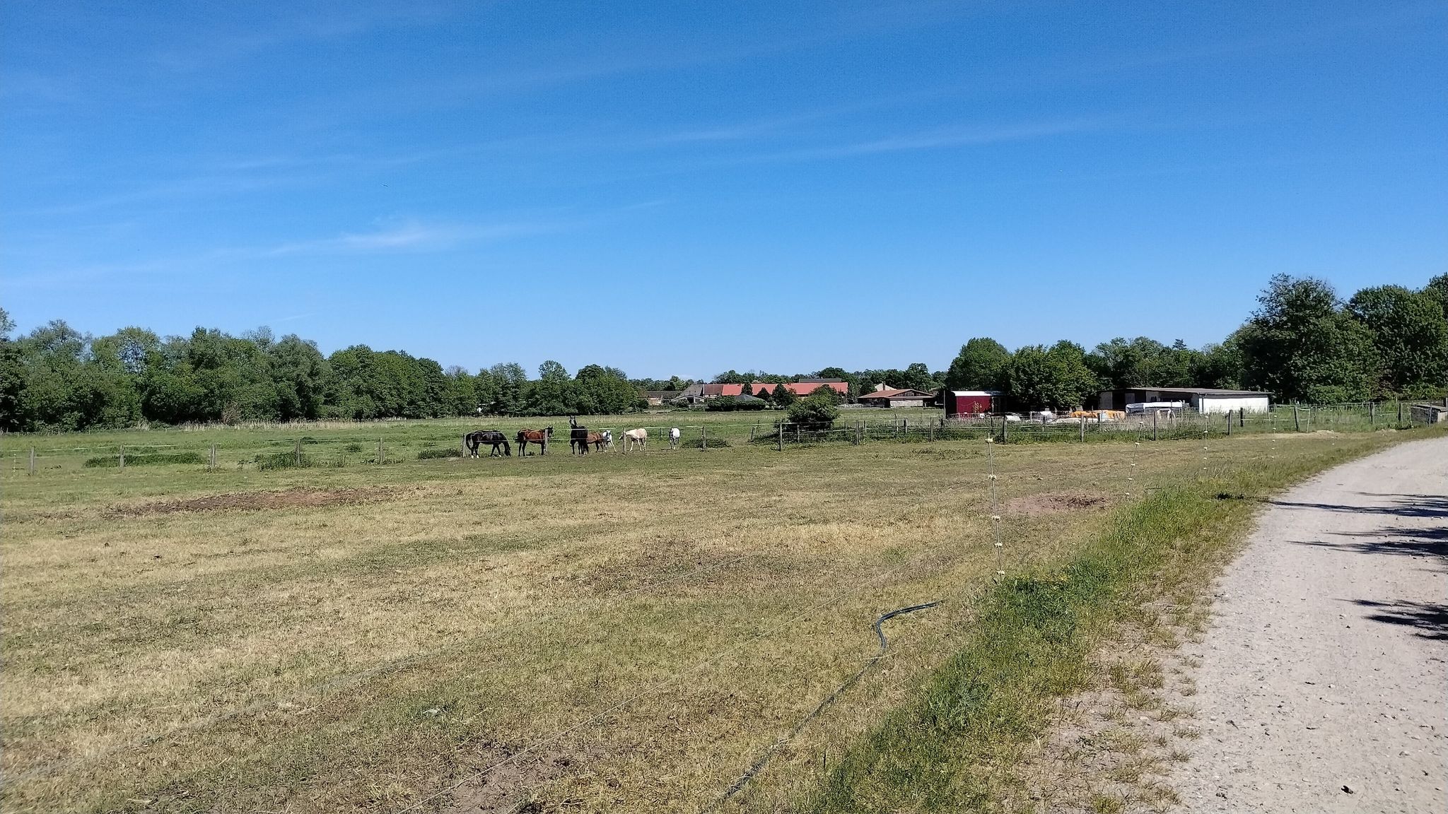 Pension am Weinberg