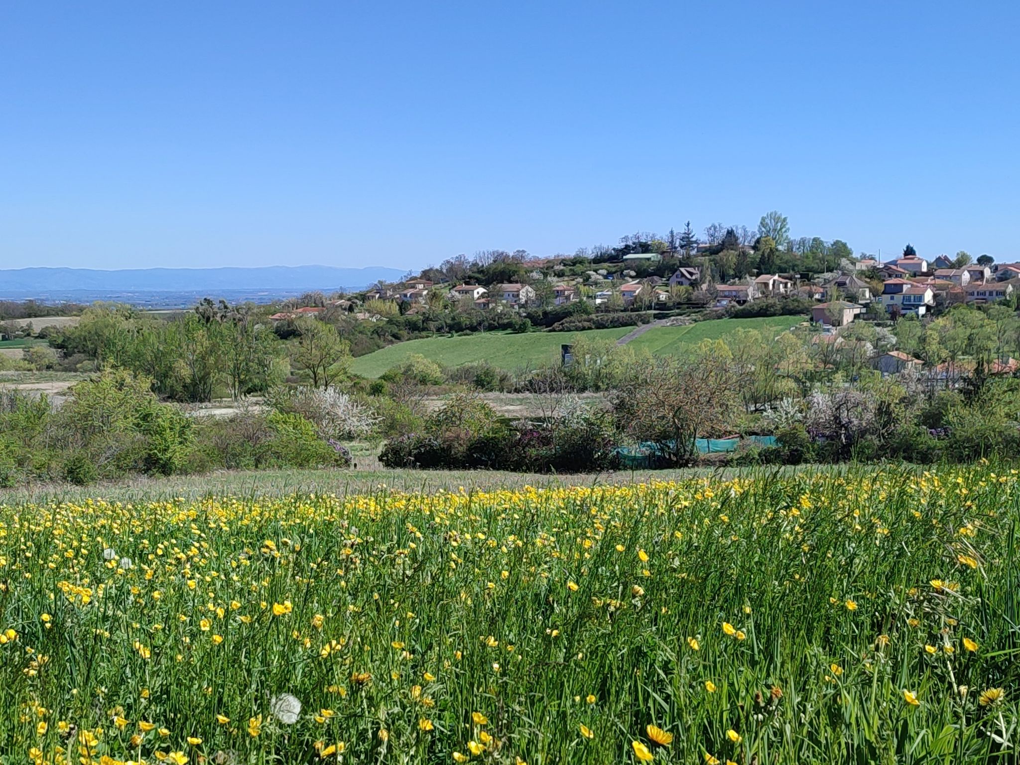 Puy Blanc