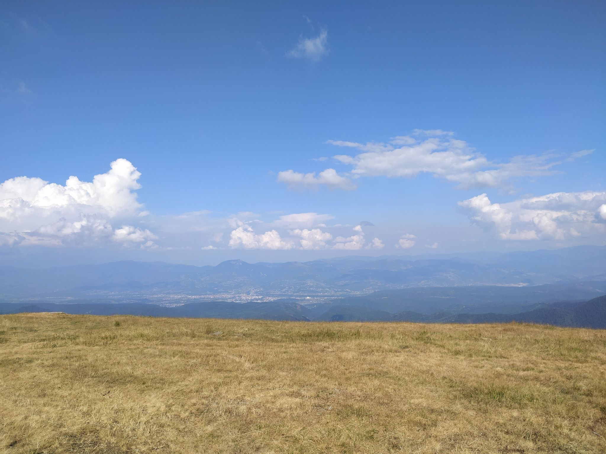 pogled