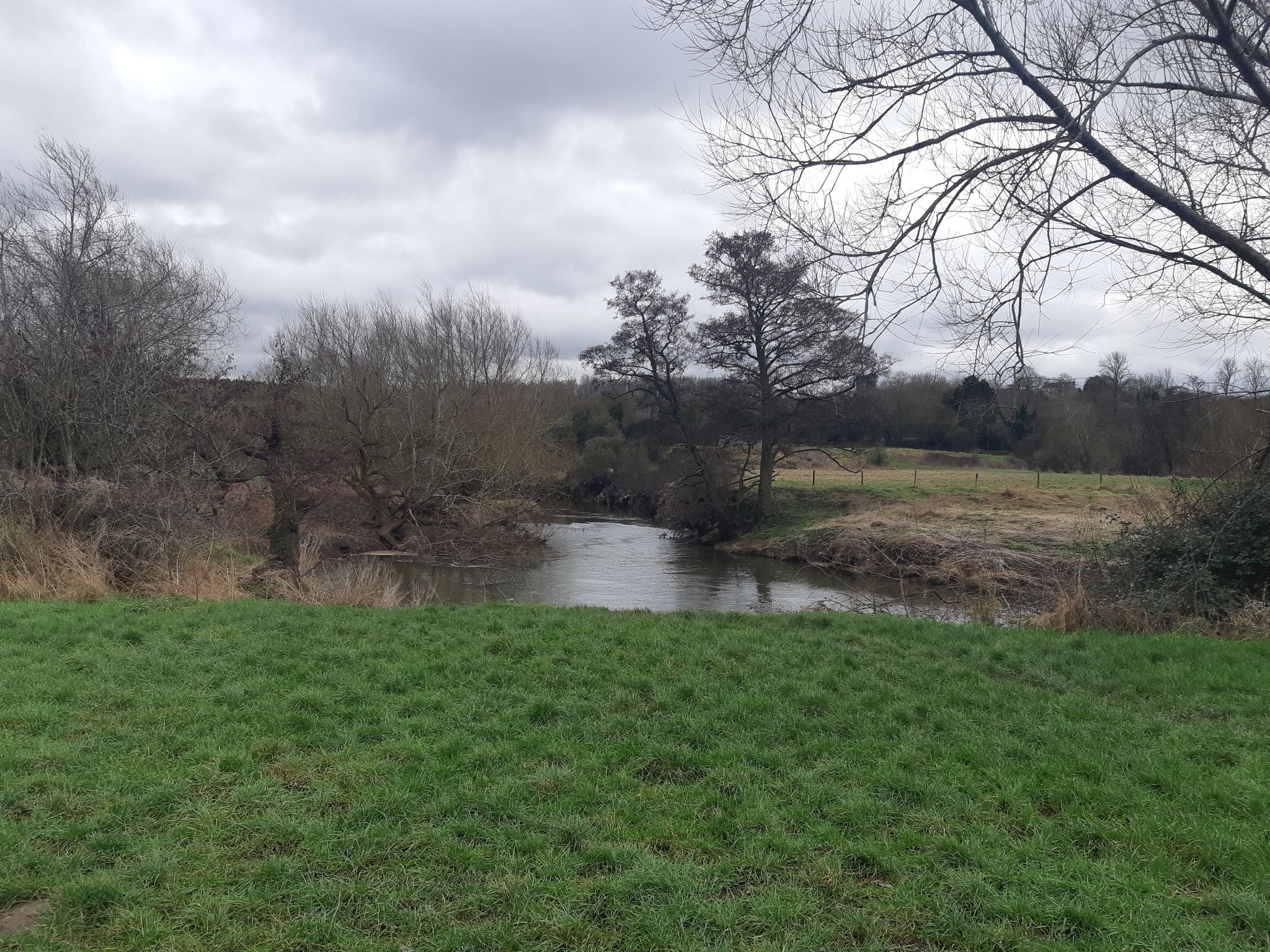River Arrow