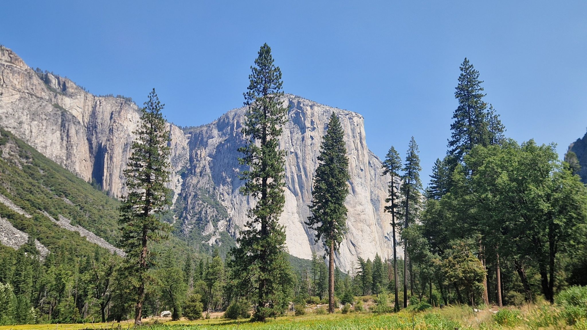 Panoramic view of immense grey rock cliffs towering over a green forest. - Merced River – Bridalveil Fall View loop from El Capitan
