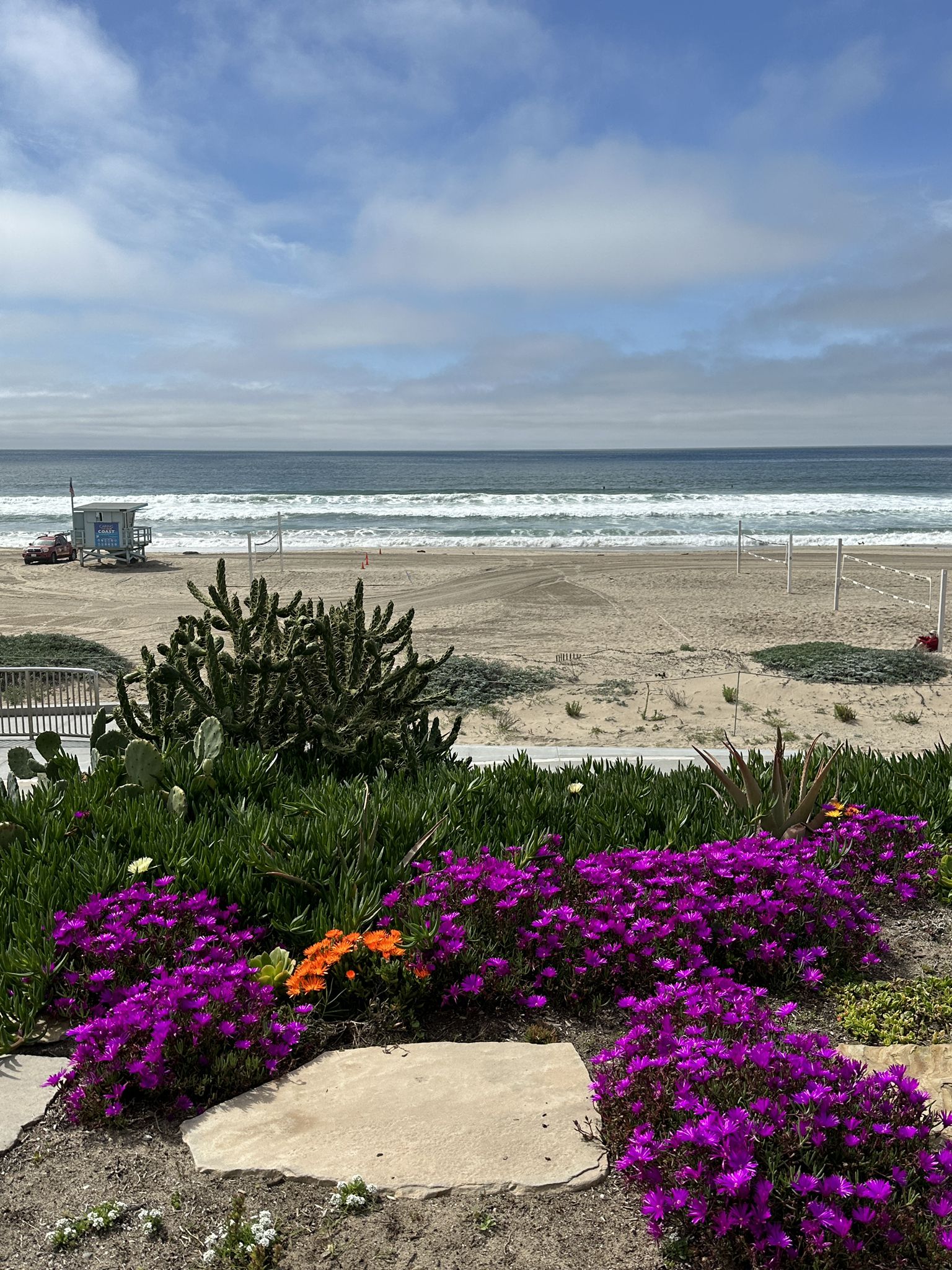 Bright purple and orange flowers overlook a sandy beach with ocean waves. - Surf Shack Beachside Café – Manhattan Beach loop from Manhattan Beach