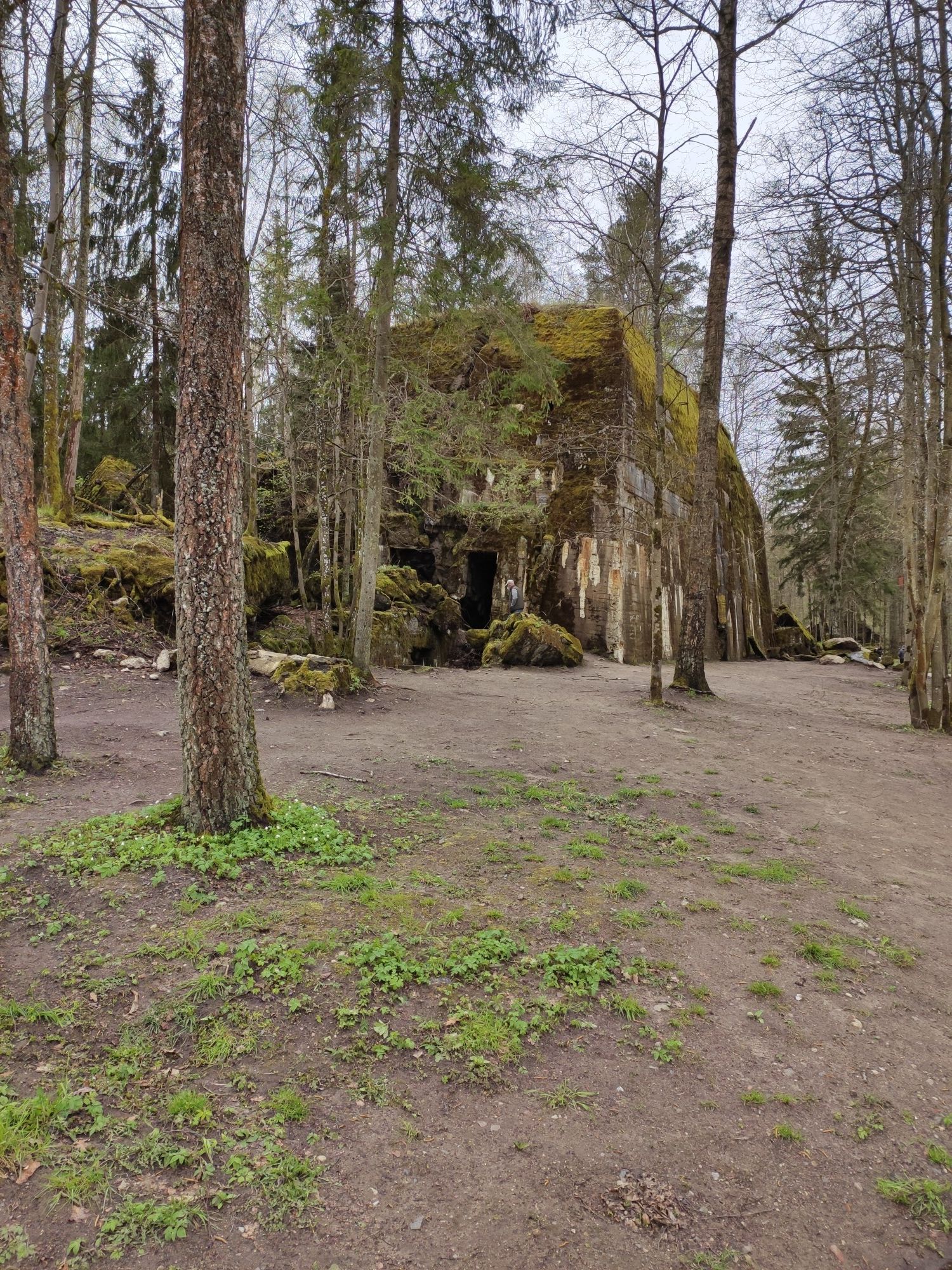Seitenansicht Bunker Adolf Hitler