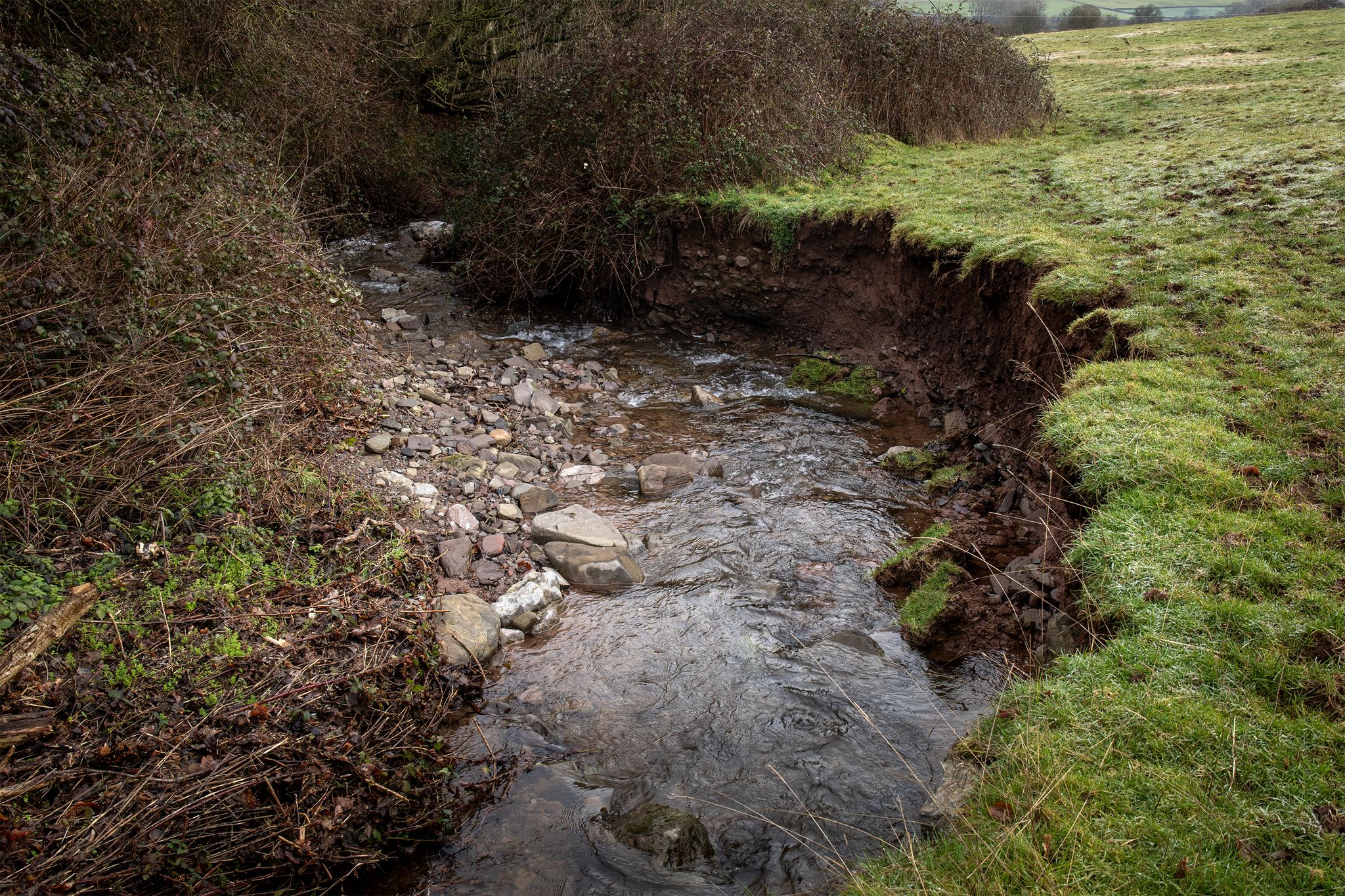 Tributary of the River Dore