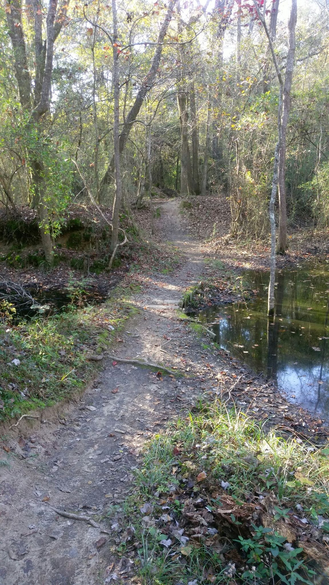 the Bridge2