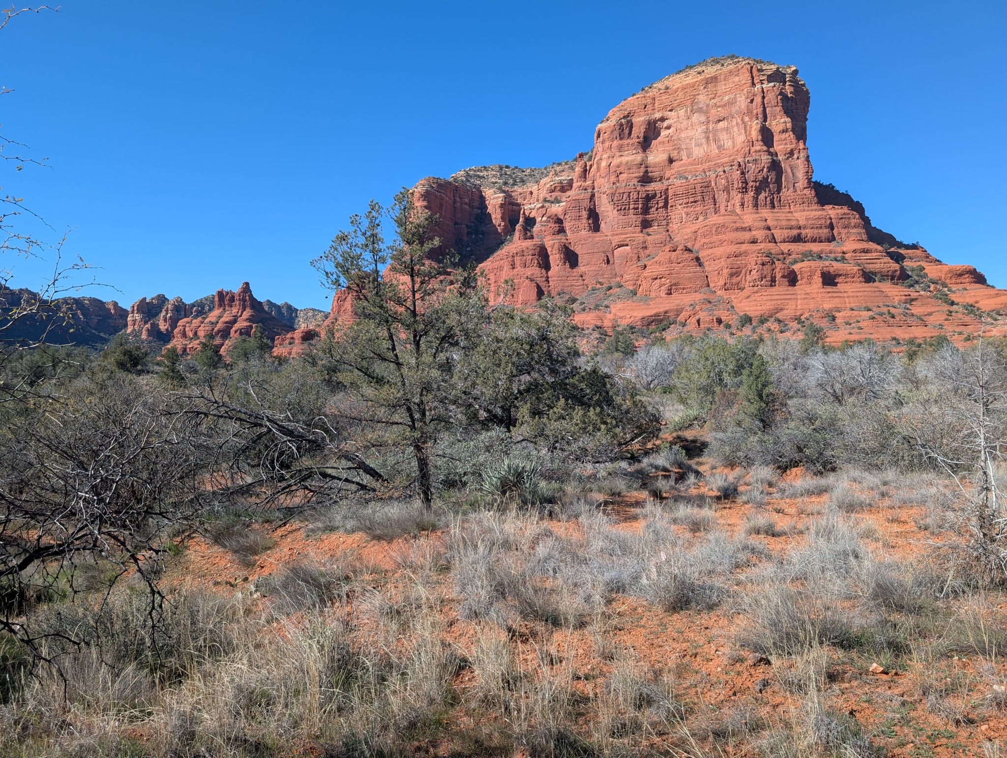 Red rock formation in background, with dry desert shrubs and trees. - Rabbit Ears and Little Rock Loop
