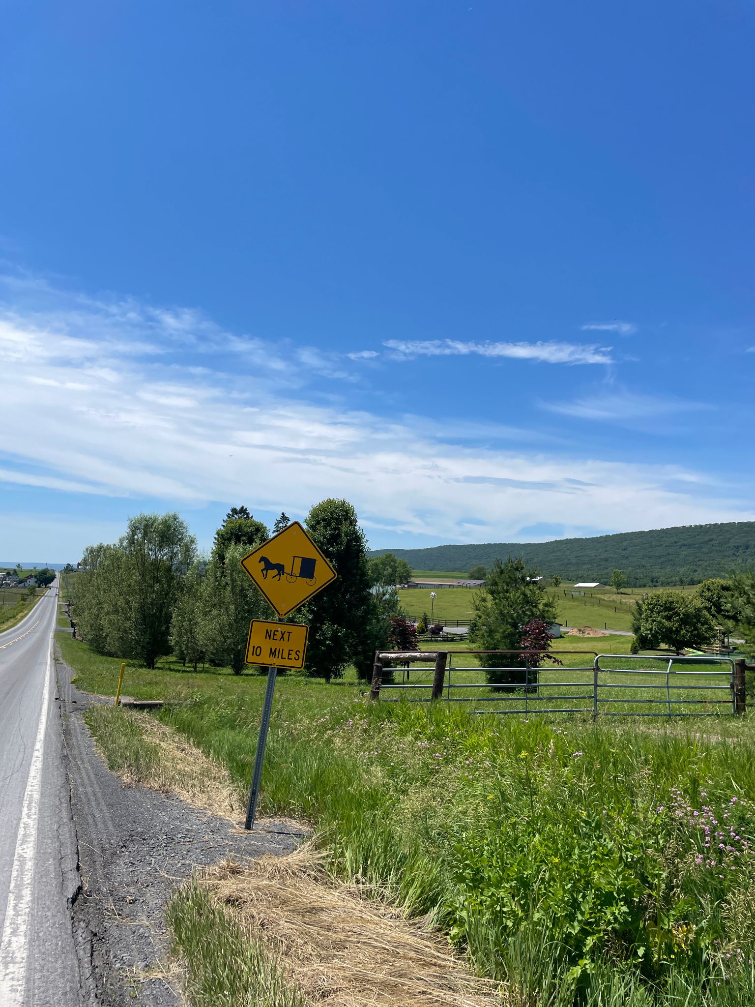 A roadside sign warns of horse-drawn vehicles on a sunny day with green fields. - Bald Eagle State Forest and BicyclePA Route V Loop