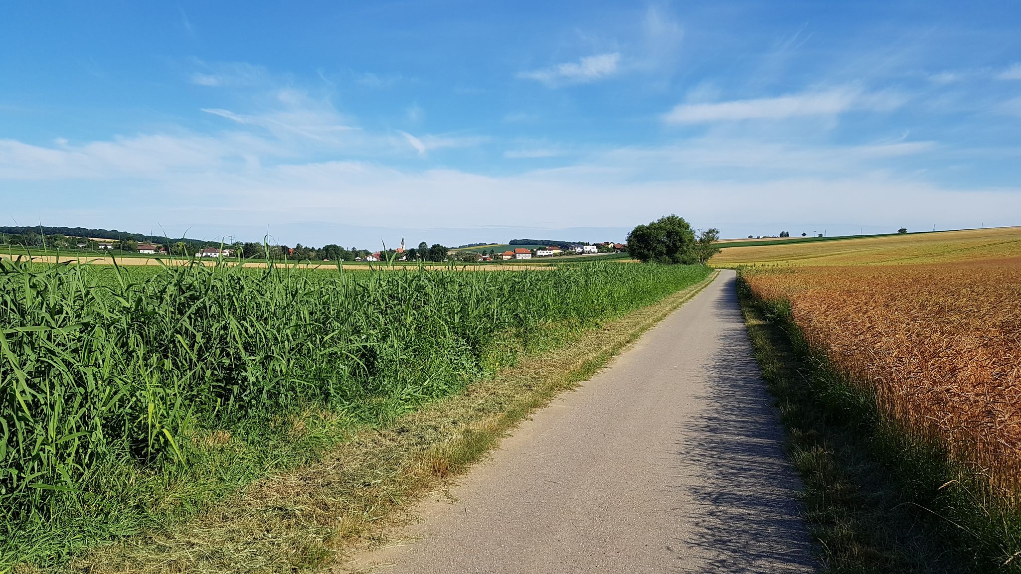 Richtung Siebenhirten
