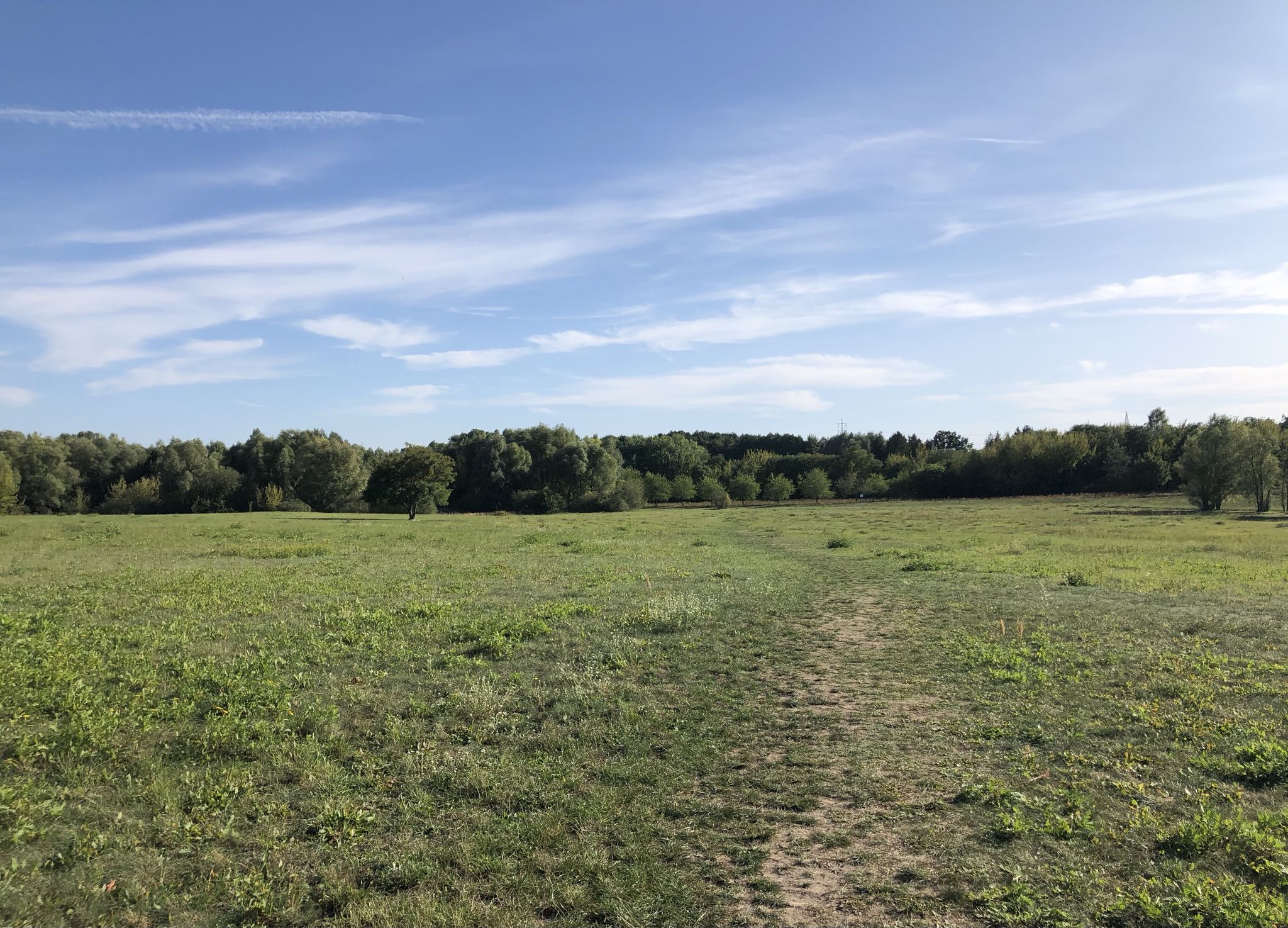 Grünanlage am Berufsförderungswerk Mühlenbeck