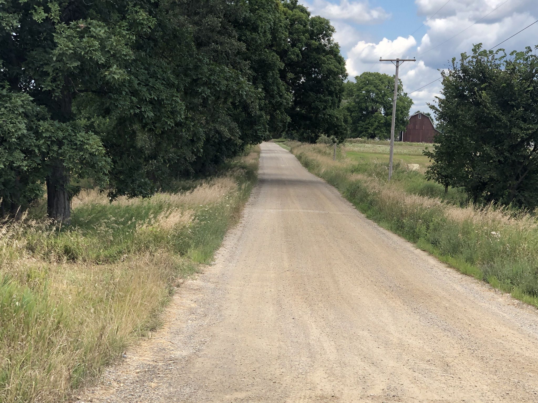 Long dirt road bordered by green trees and dry grass under a cloudy sky. - Ann Arbor to Jerusalem loop