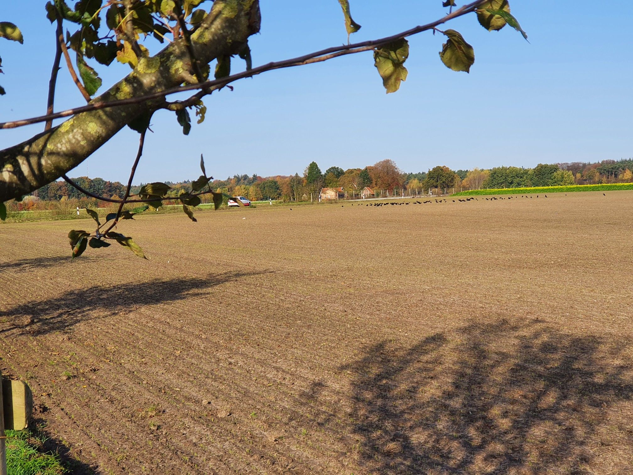 Herbstliche Landschaft bei Freren.