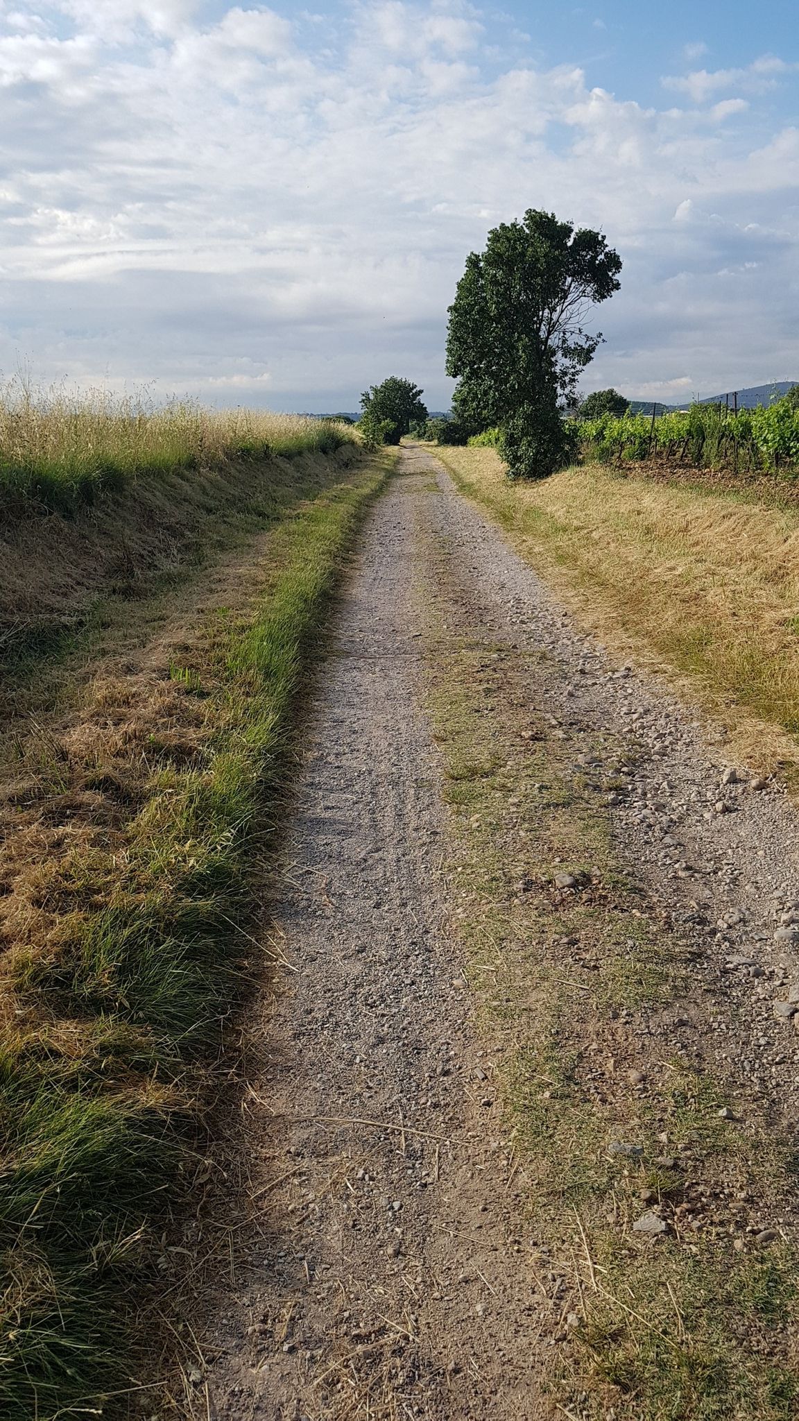 gravel