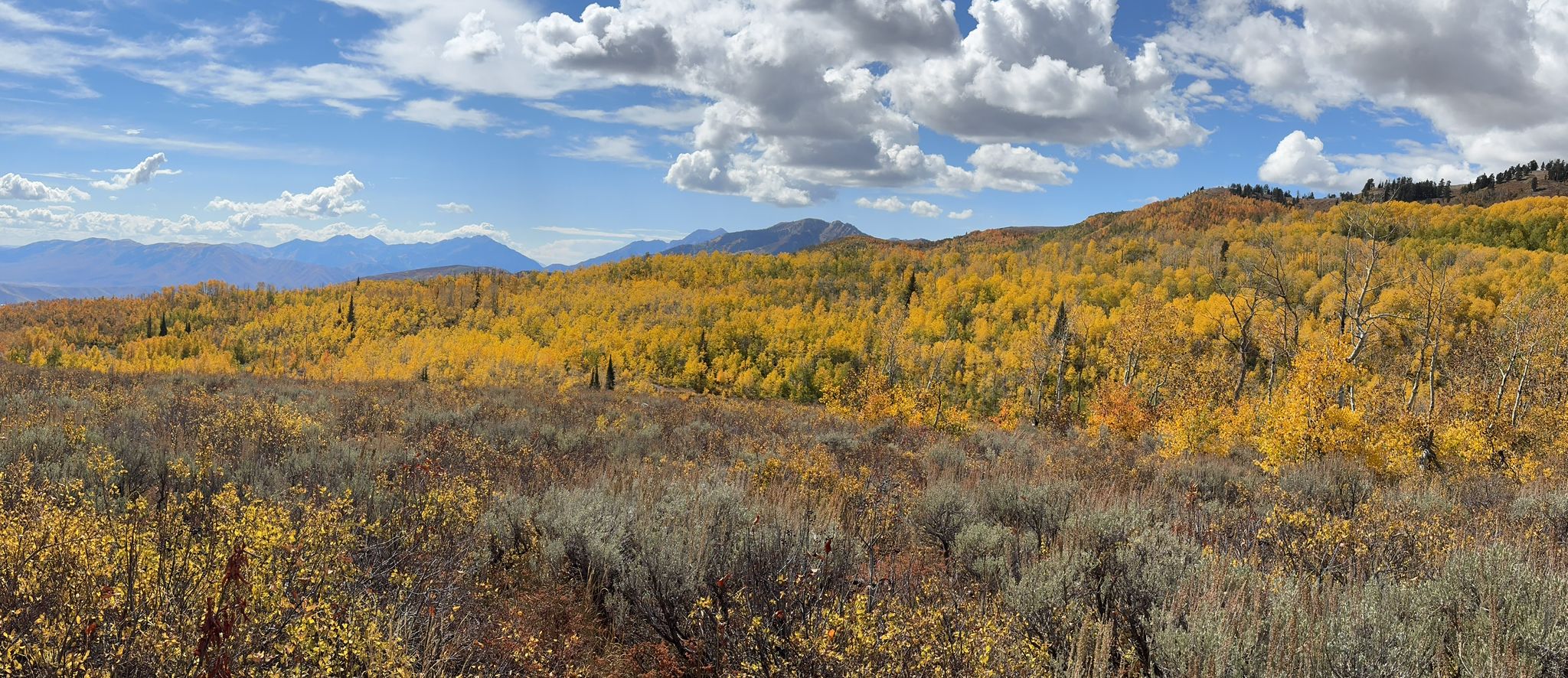Panoramic view of golden autumn hills and distant mountains under a bright, cloudy sky. - Upper WOW