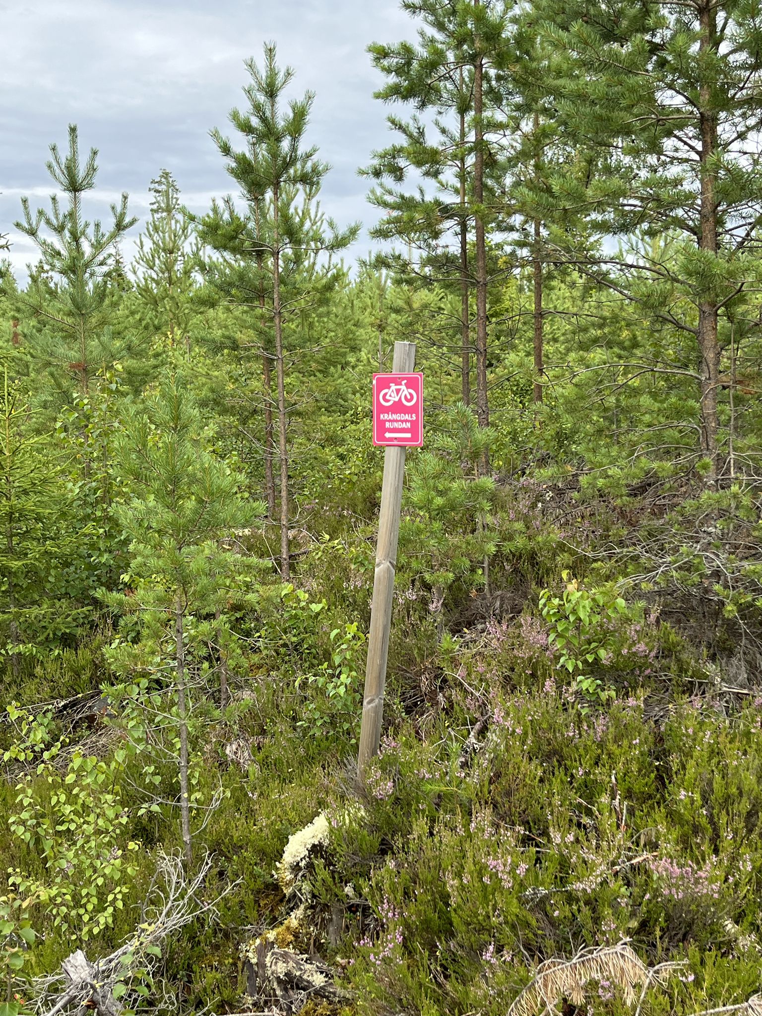 In der Regel sehen die Schilder so oder "MTB Venjan" aus.
