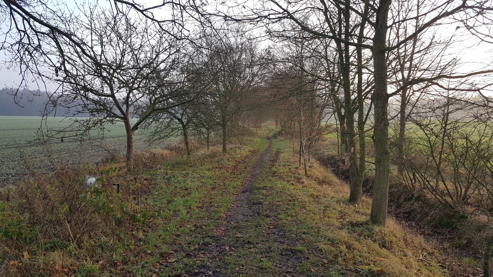 Feldweg