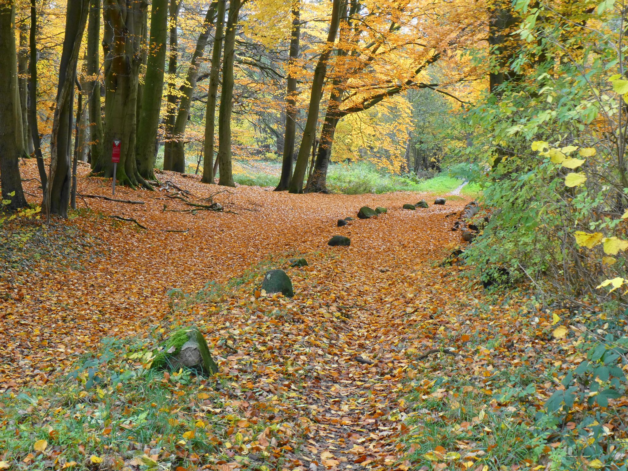 Fredenbecker Weg