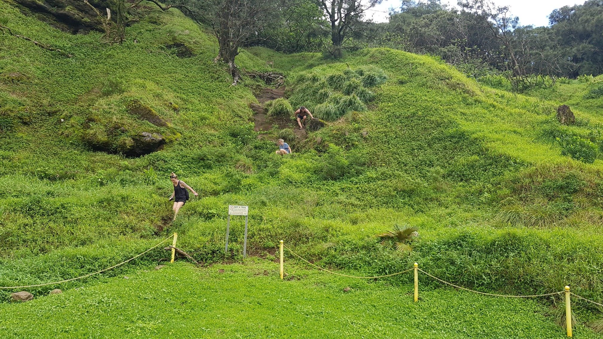People hike up a steep, lush green hillside under bright daylight. - Kalihi via Kāneʻohe Bay loop