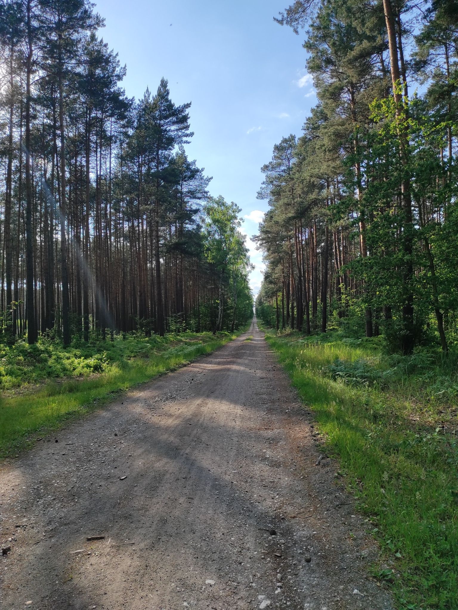 beautiful uphill