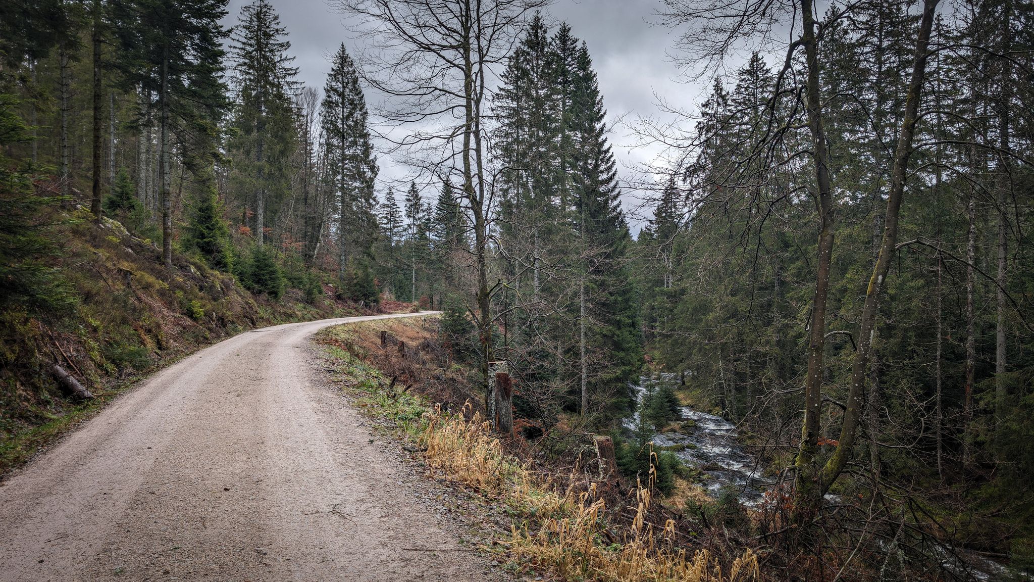 Kurz vor der Schwarzenbach Talsperre