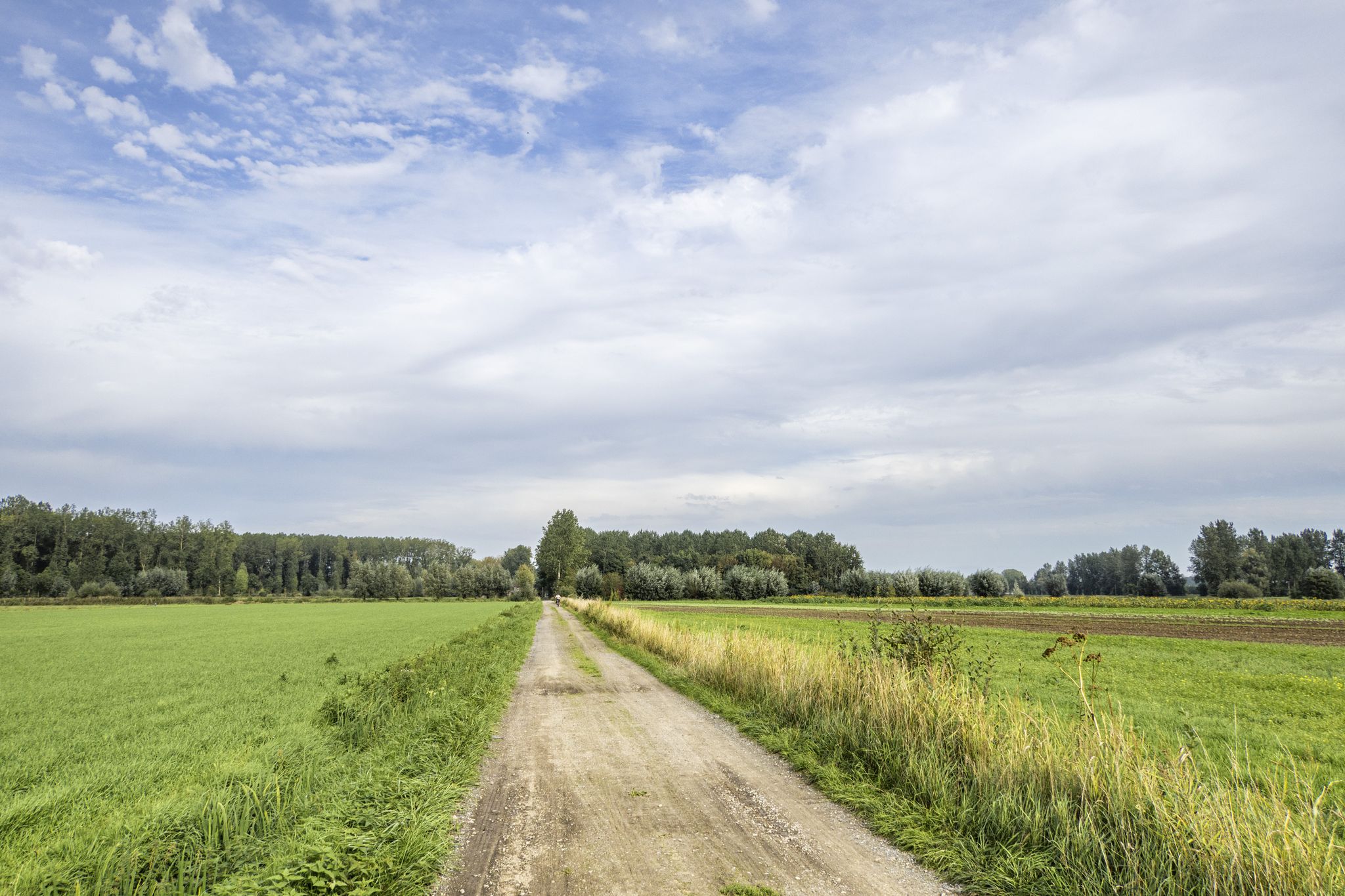 Door open landschap bij Mendonk