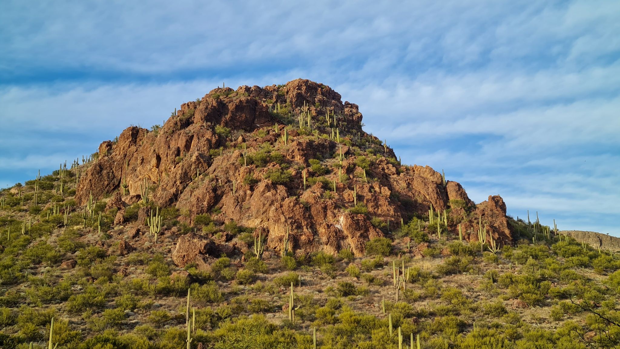 A large rocky hill covered in saguaro cacti under a blue, cloudy sky. - Posta Quemada Canyon loop from Ocotillo Ridge Elementary School