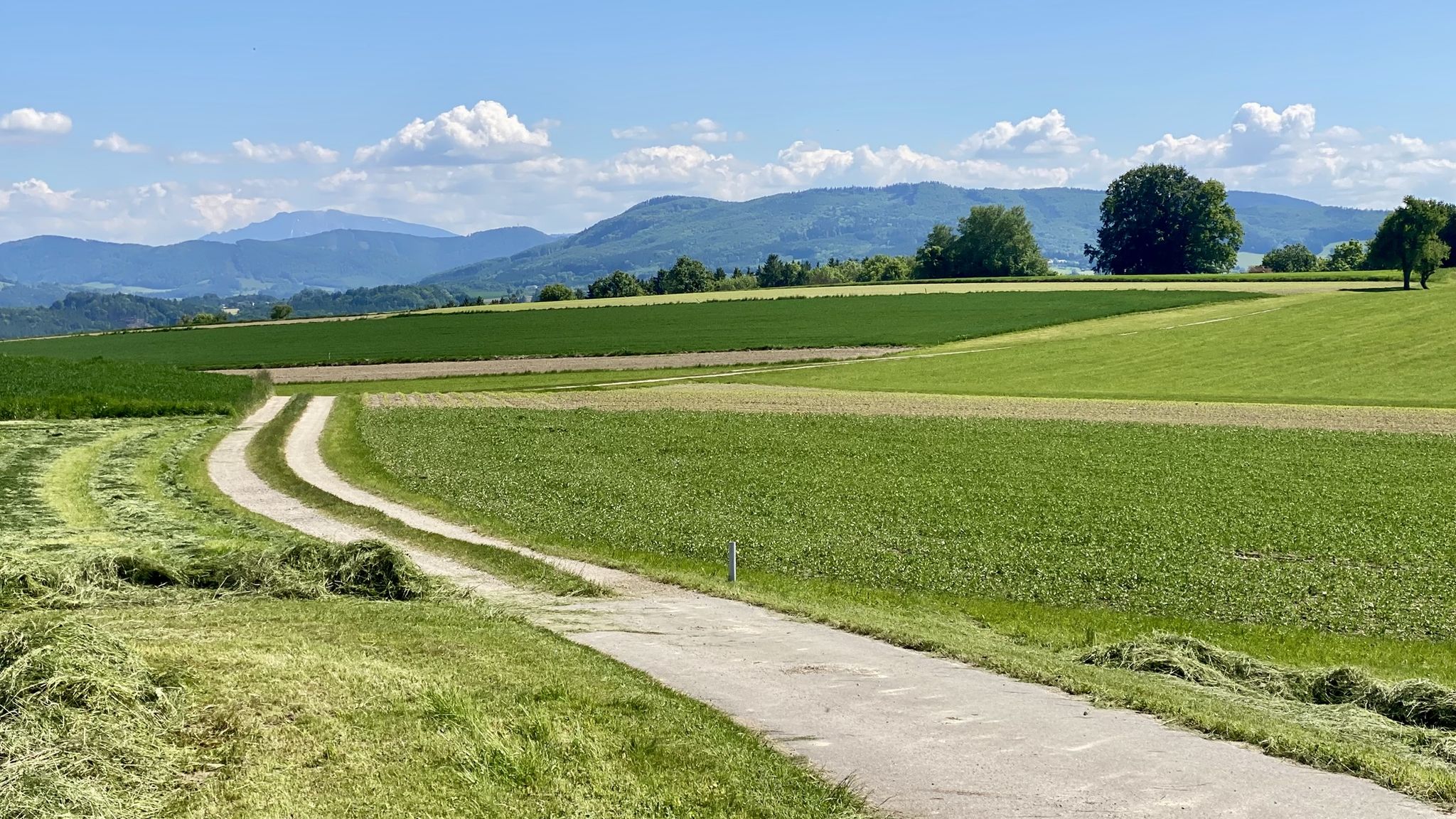 Ötscherblick - JA 😊