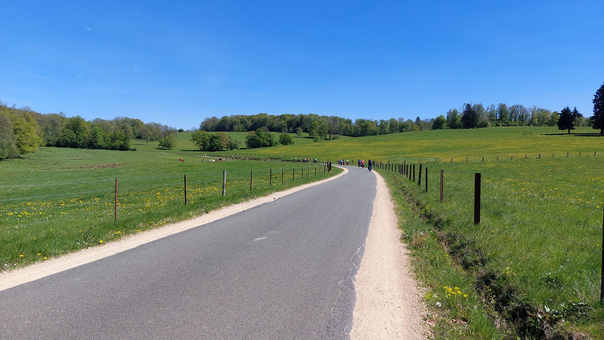 Ab in die Ardennen