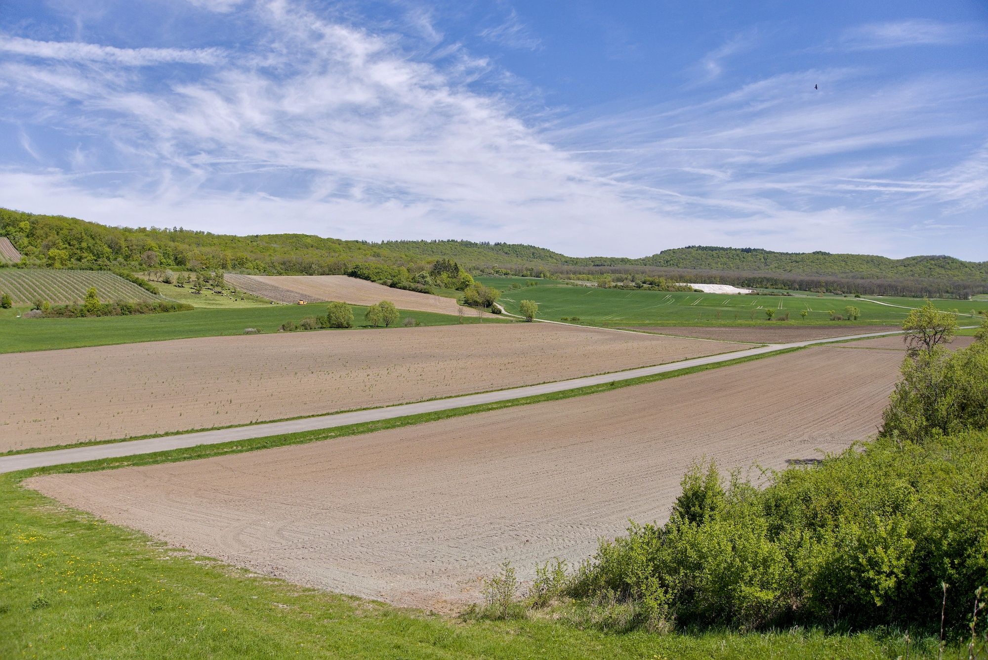 Keine üblen Aussichten für die Zufahrt zum Steigerwald