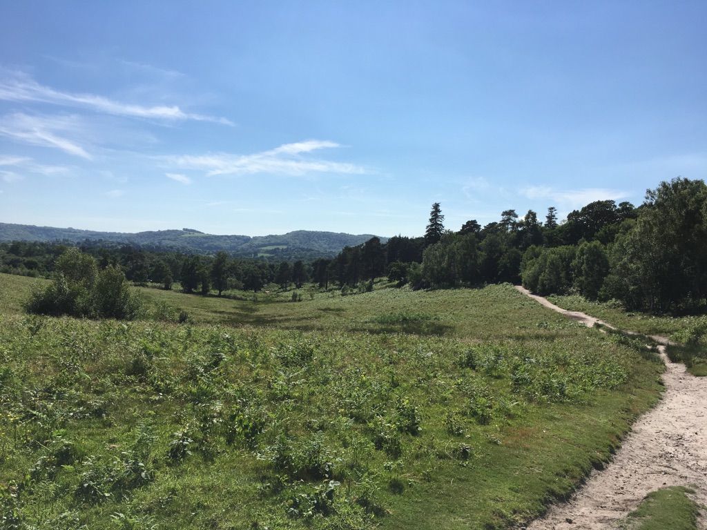 One route option. We’re heading for the trees instead 