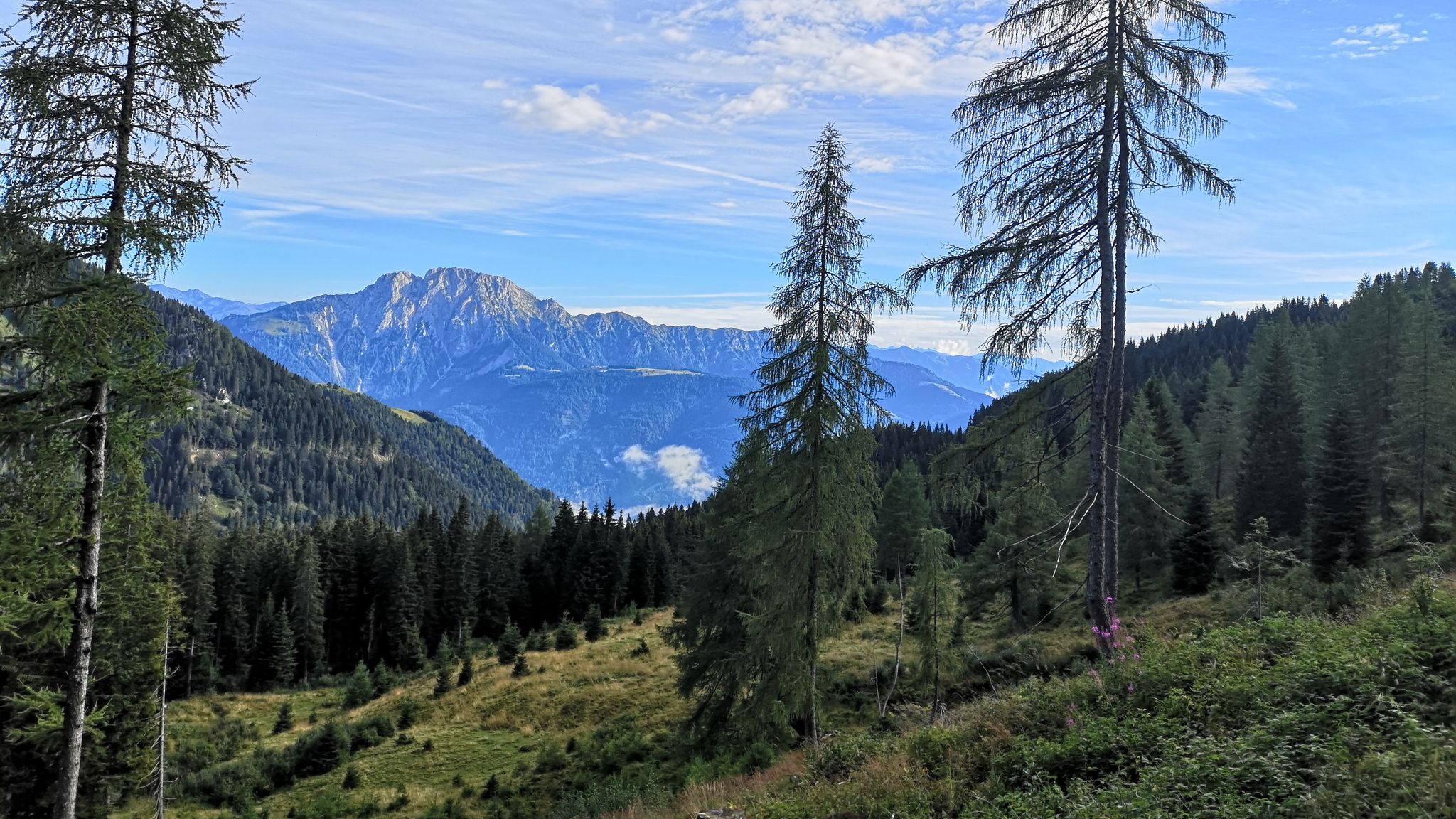 Blick in die Berge nahe der Straninger Alm