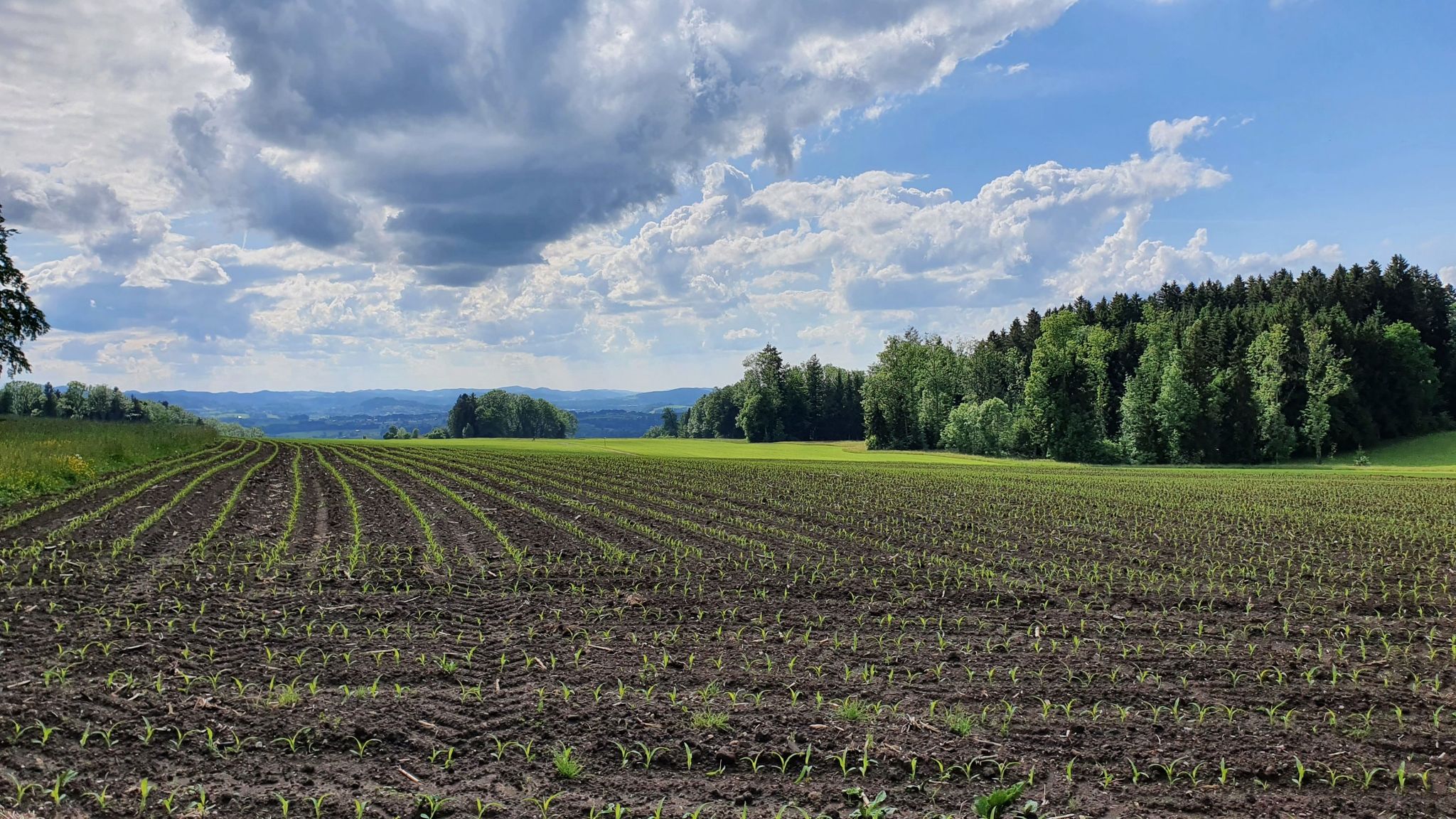 schönes Abschlussbild