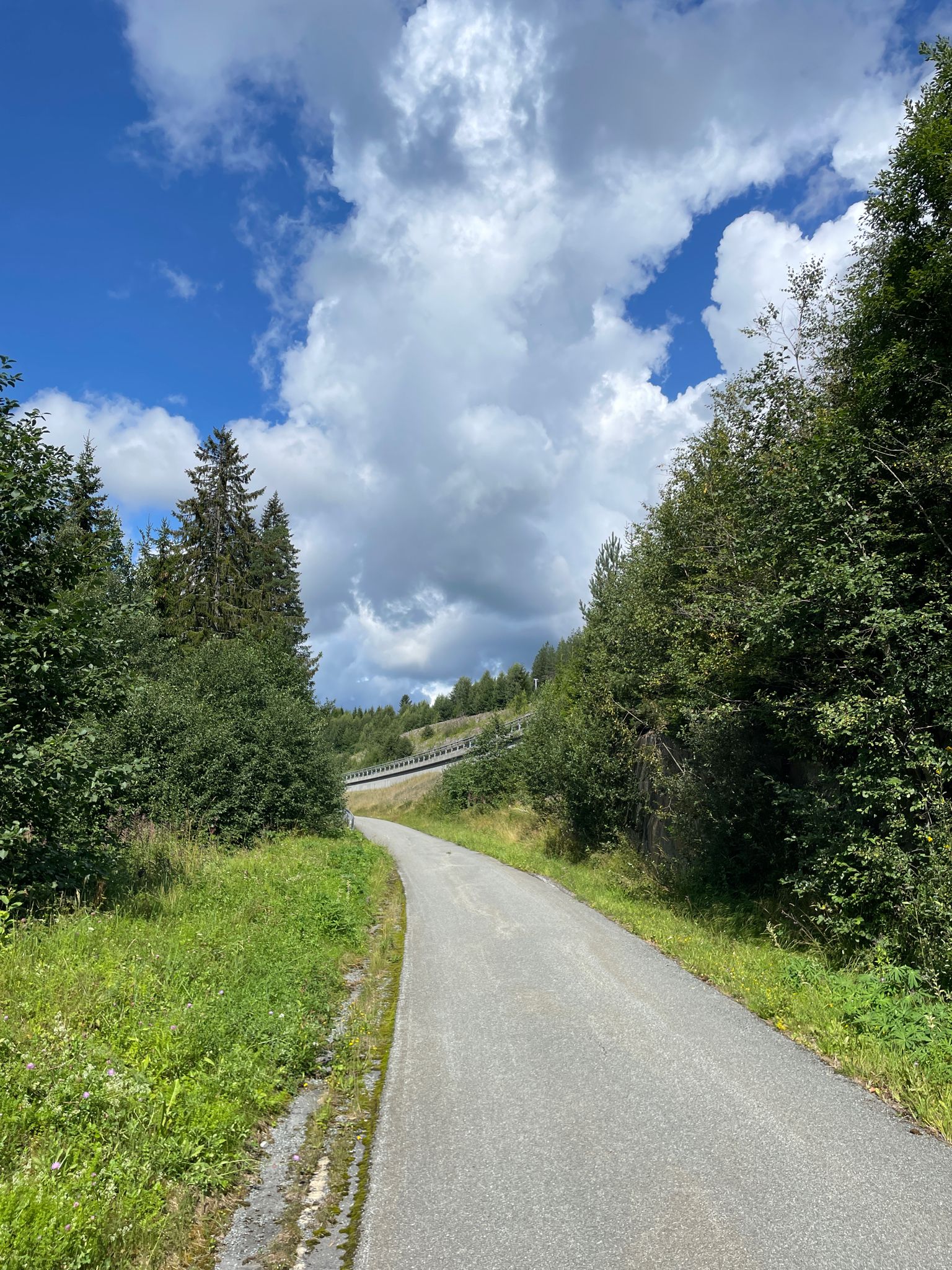 Fahrradweg am Fluss Sogna