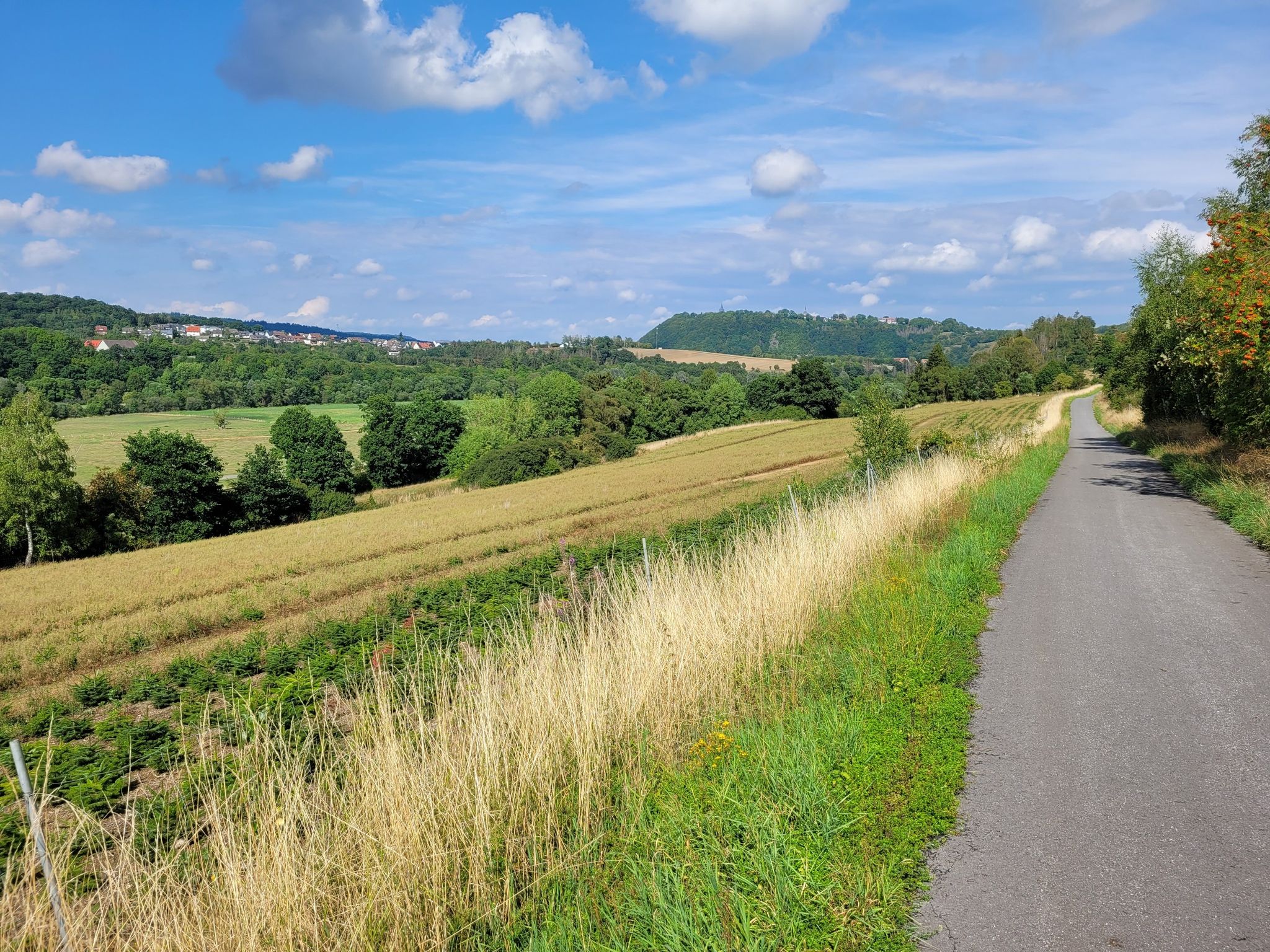 Radweg mit Blick in Richutng Marsberg