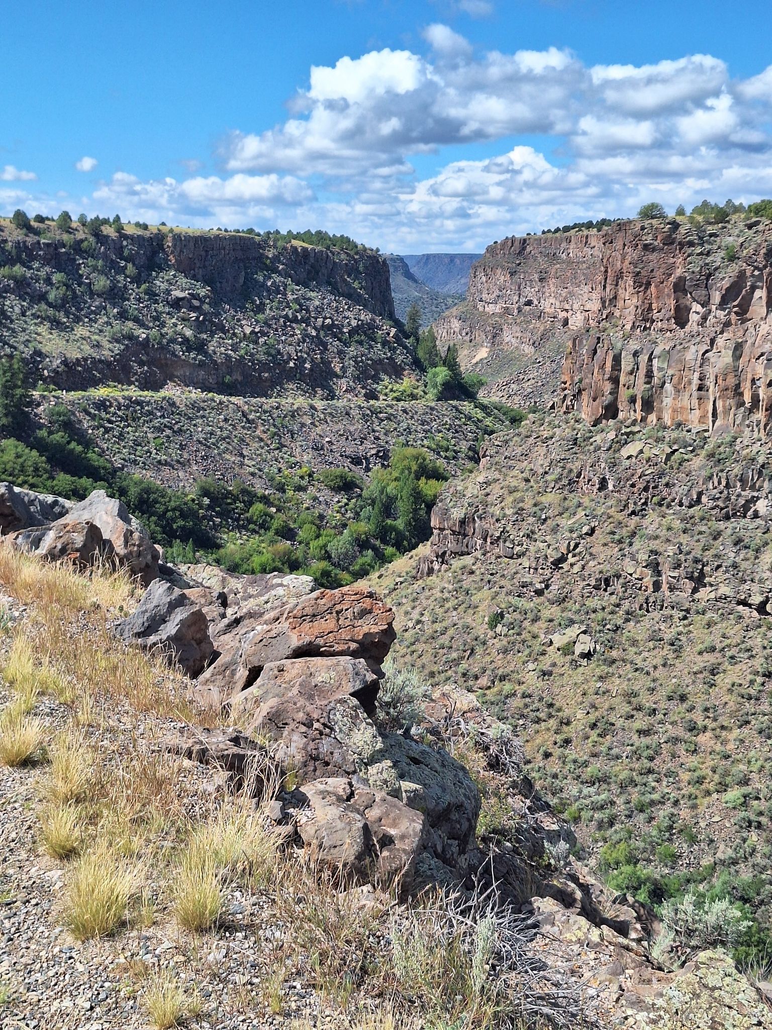 Sunny canyon with steep rocky walls, green vegetation, and a blue sky. - Picuris, Klauer, and Slide Trail Loop