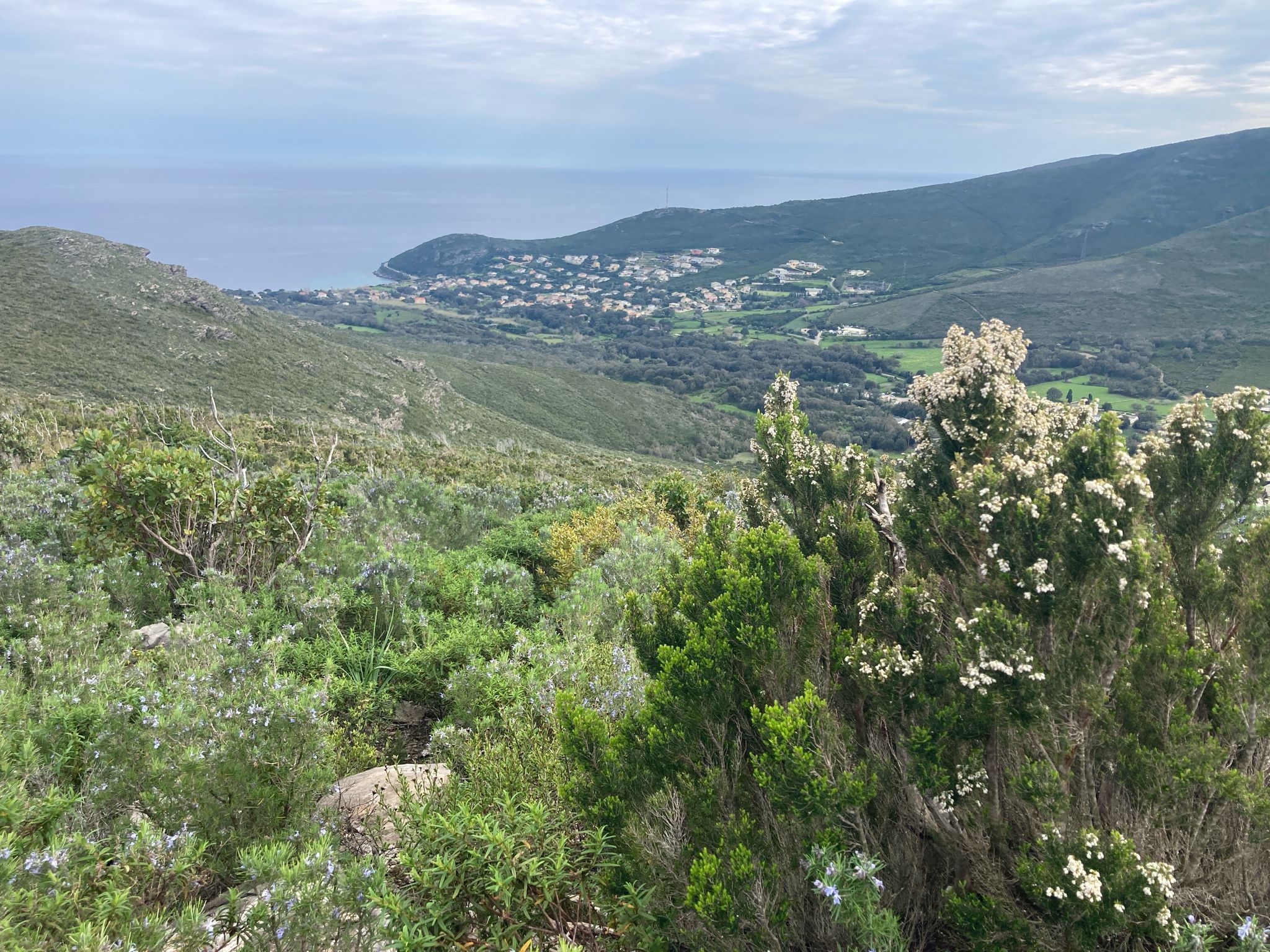 Blick auf Sisco