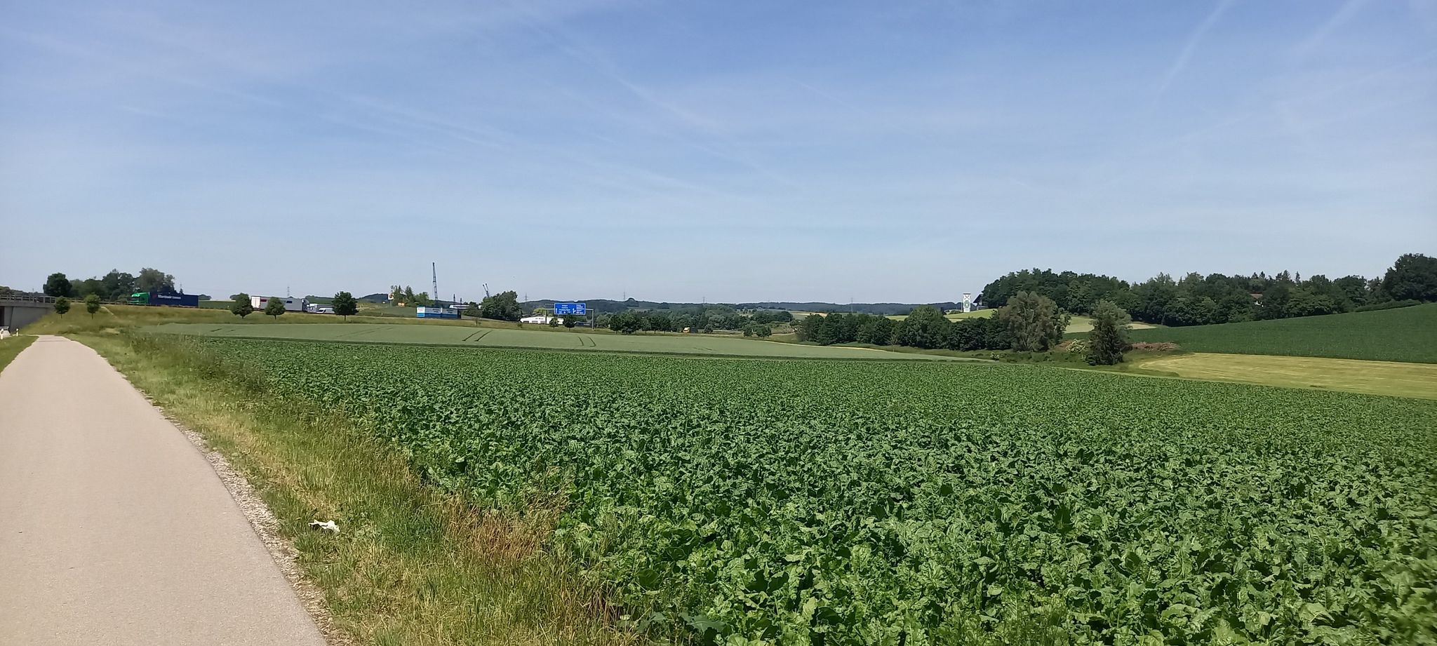 A8 bei Dasing