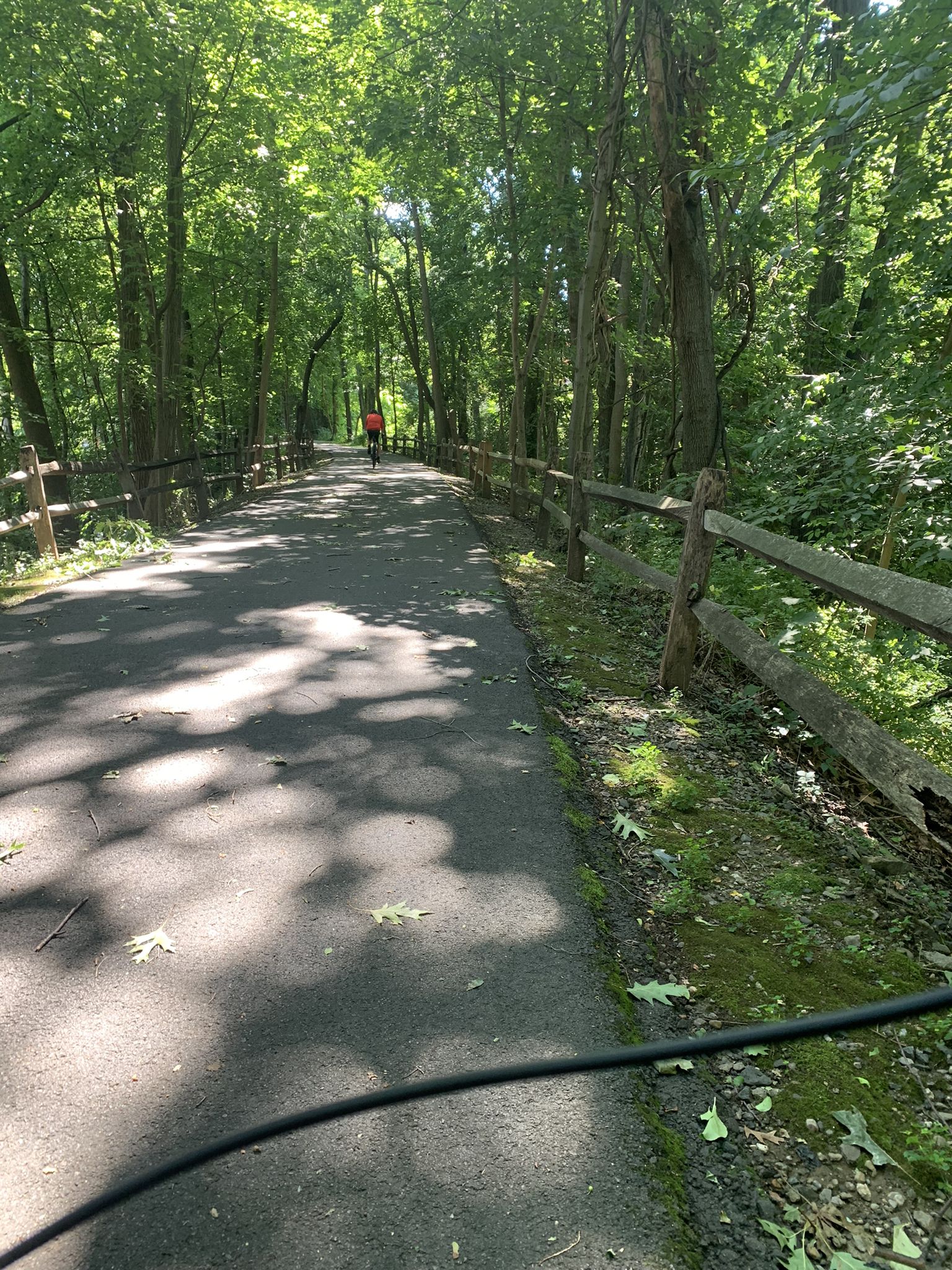 Paved path through a sunlit forest with a distant cyclist and wooden fence. - South County Trailway