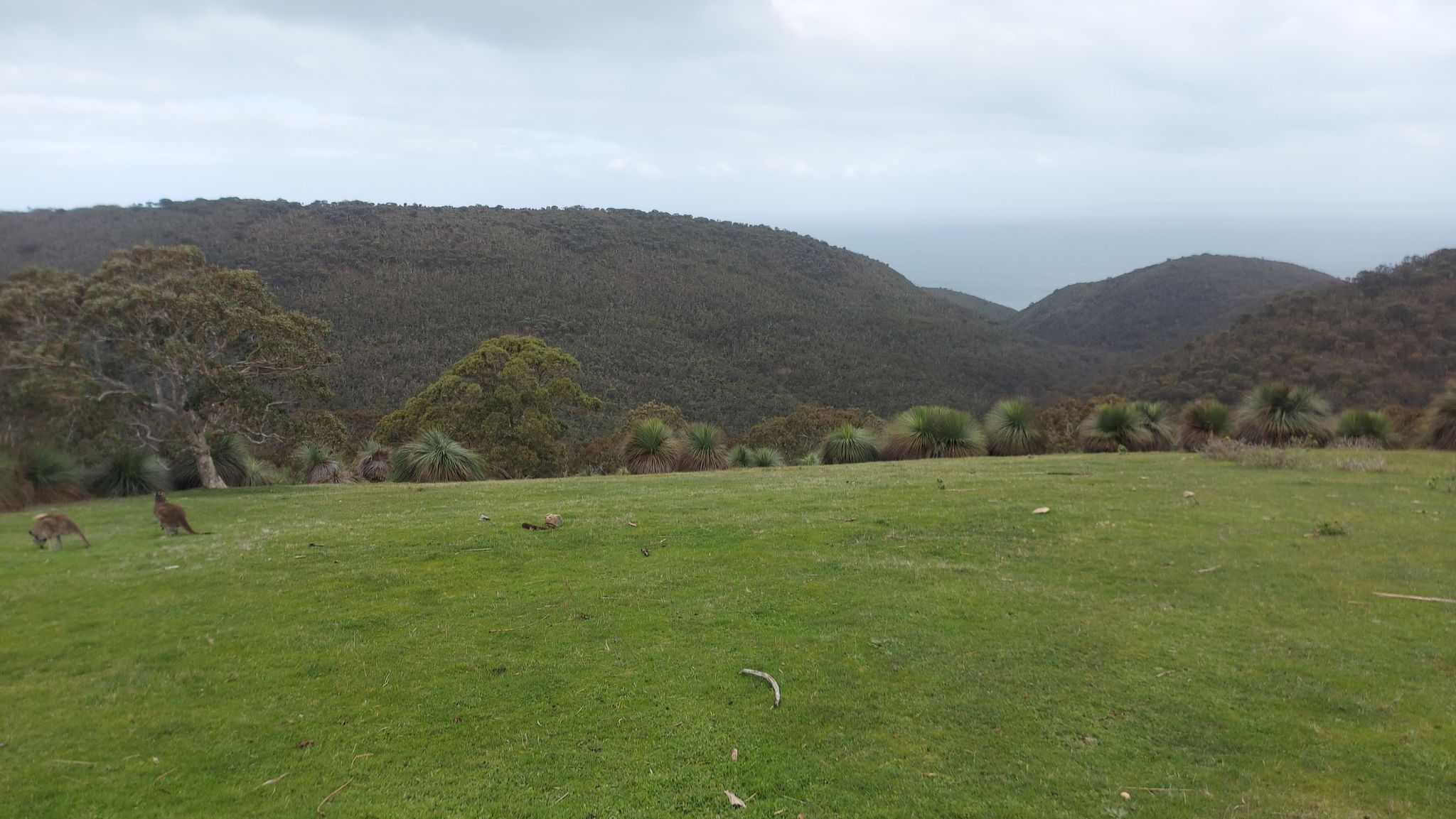 Goondooloo Ridge Lookout