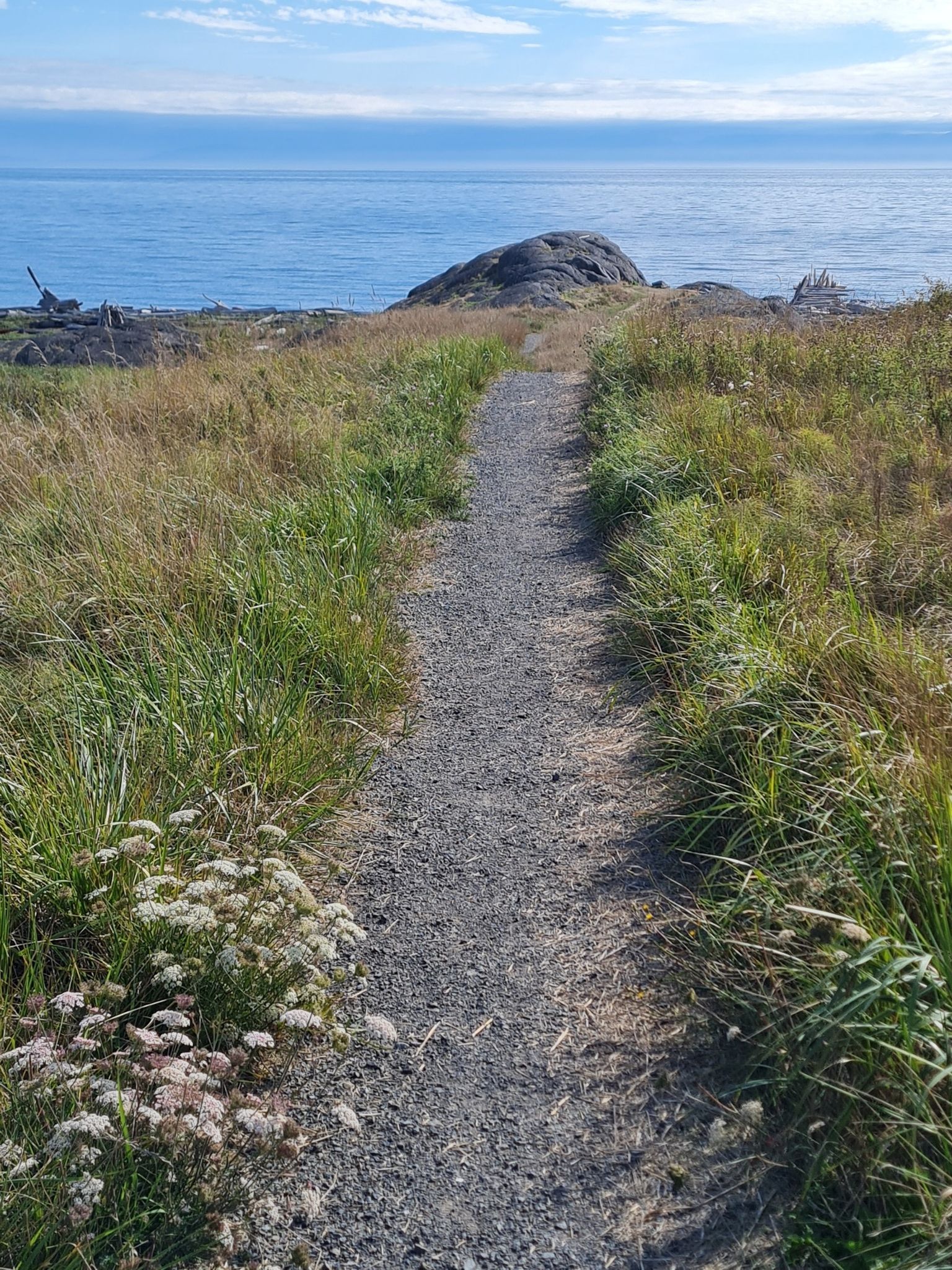 Gravel path through green grass, leading to a calm blue ocean. - South Beach and Bluff Trail Loop