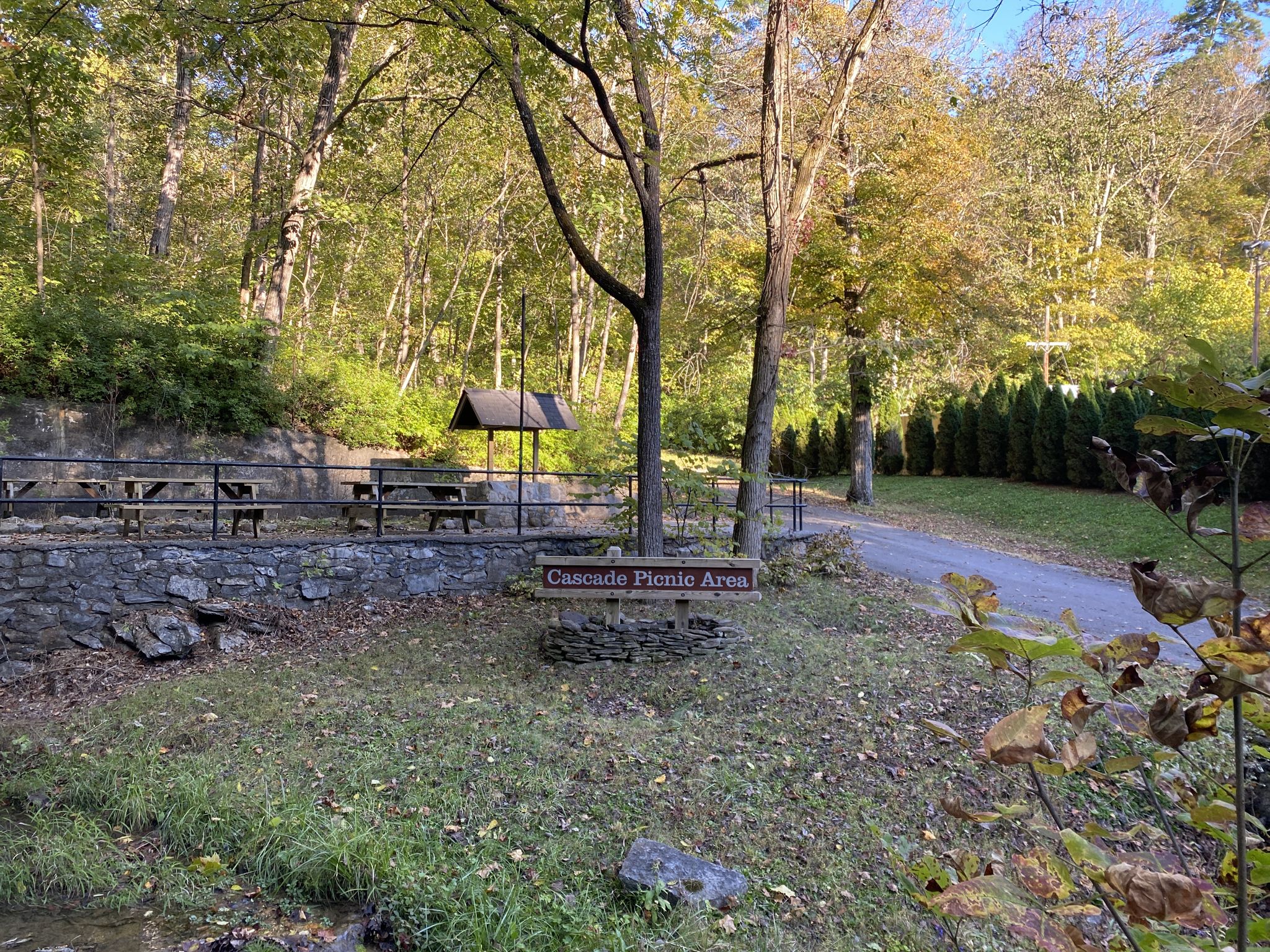 Sunny picnic area with tables and shelter in a wooded landscape. - Cedar Creek Trail
