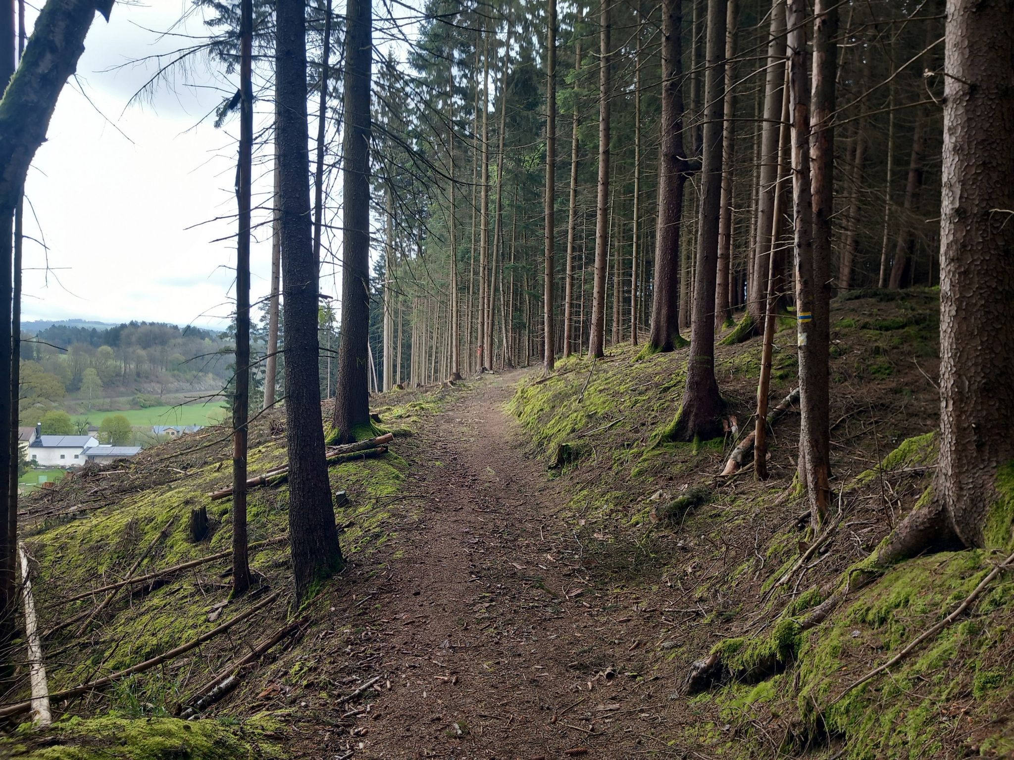 In Hanglage